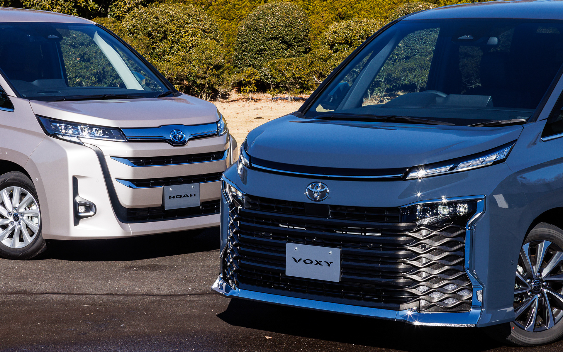 フロントマスクに個性の違いが現れている