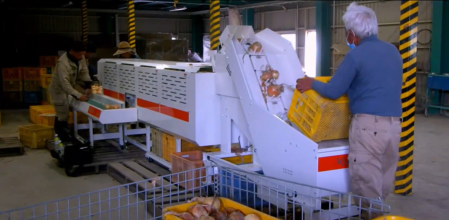 たまねぎ調製機「KOC-10」