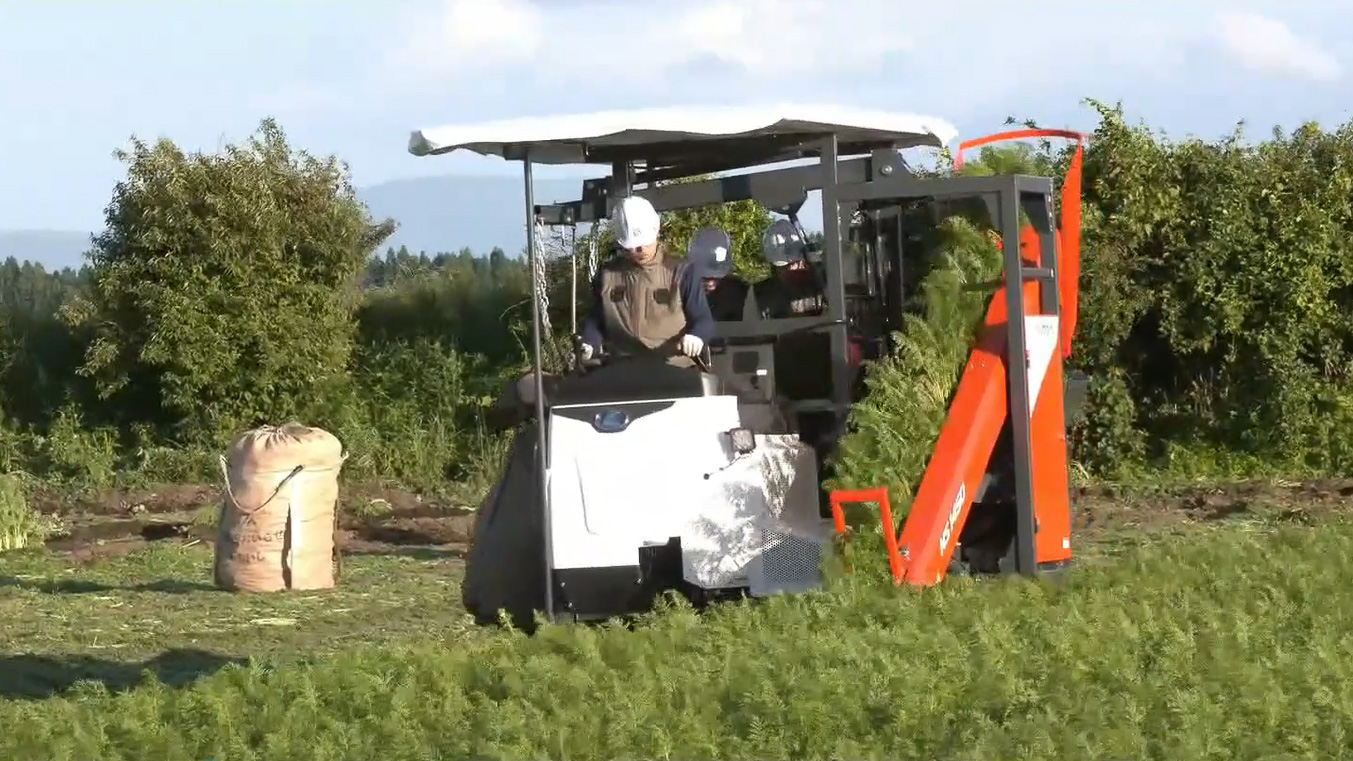 にんじん収穫機「NS1450」