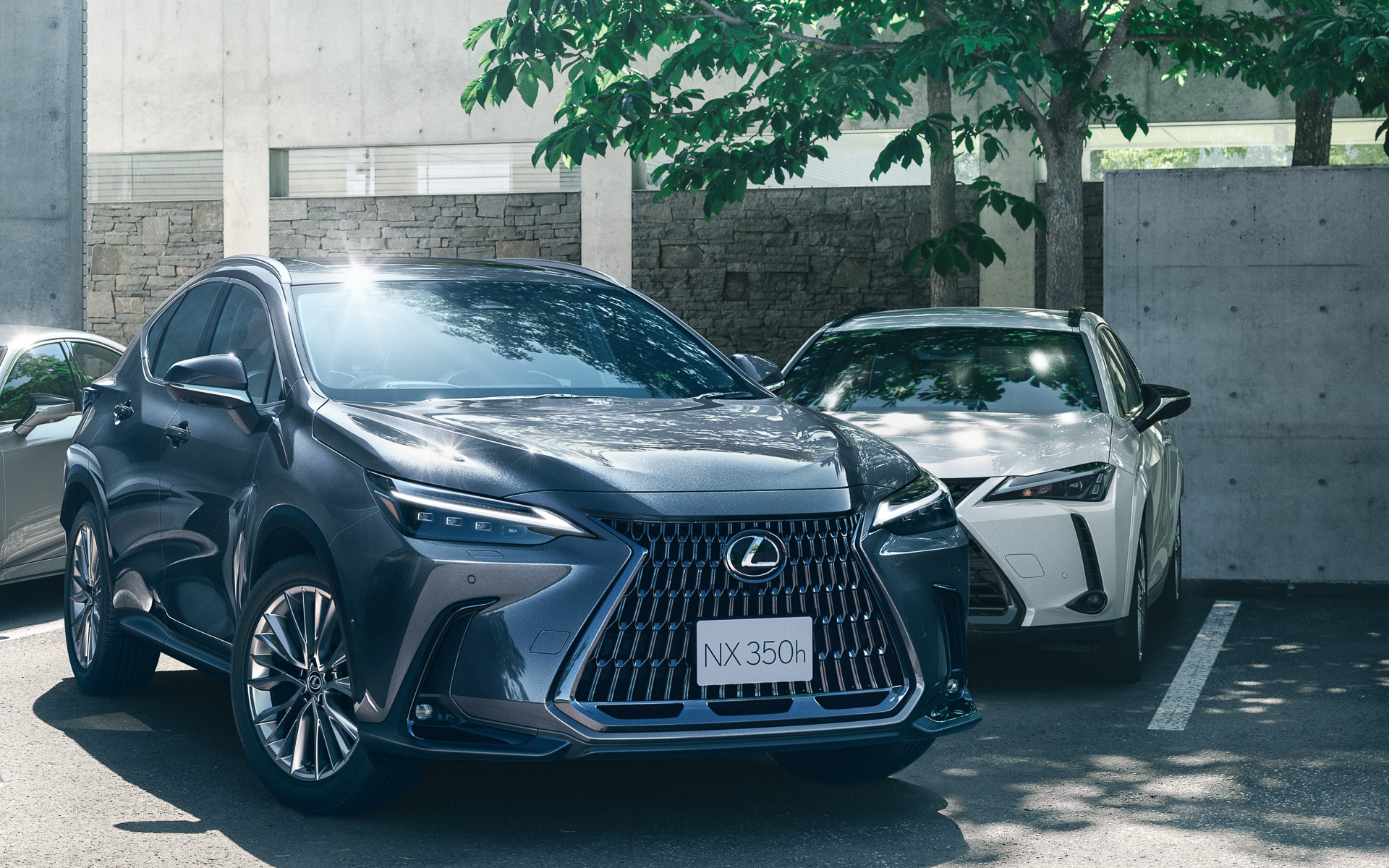 トヨタ紡織の開発した部品が採用されているレクサス新型NX