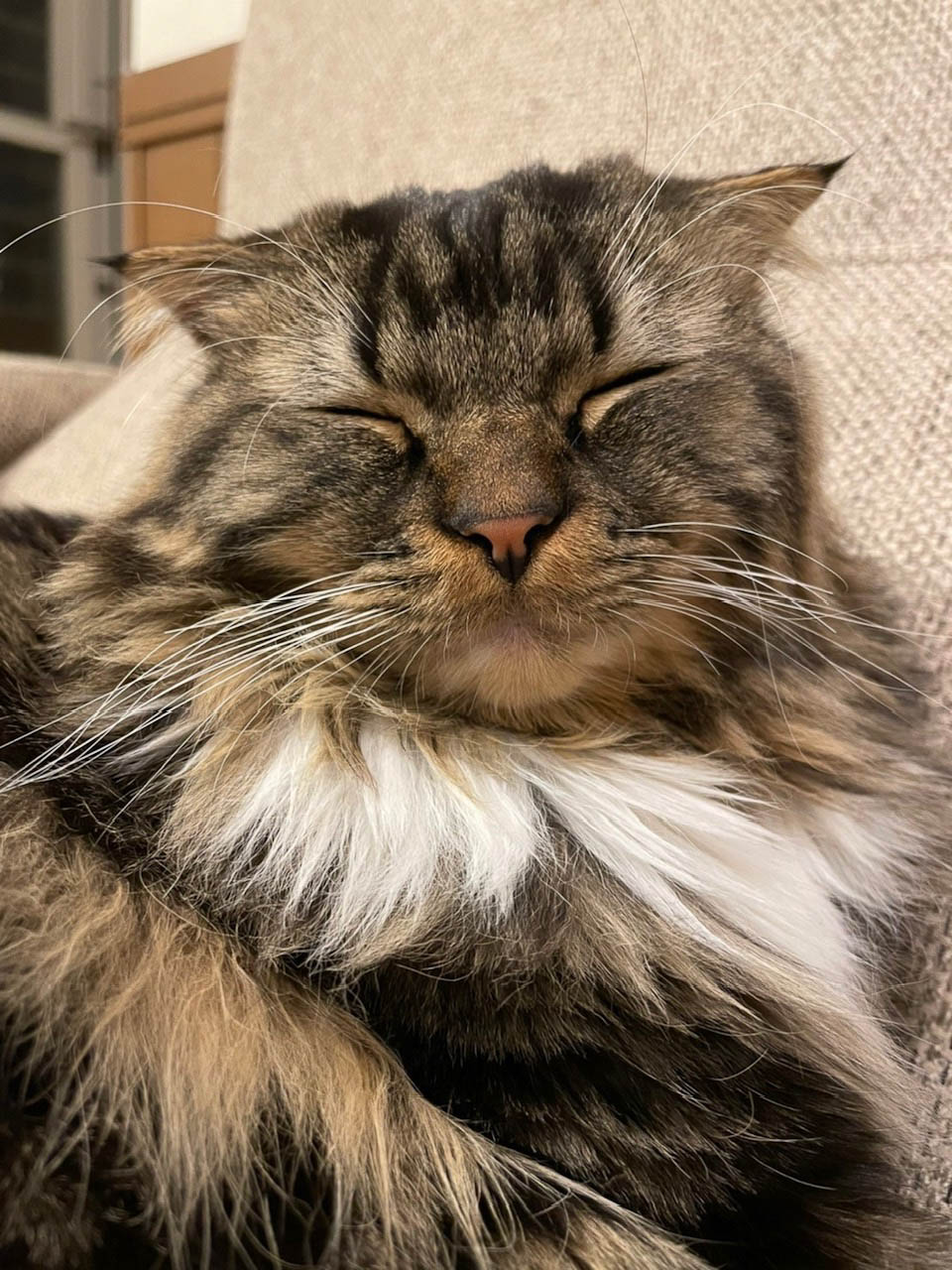 おやすみなさい