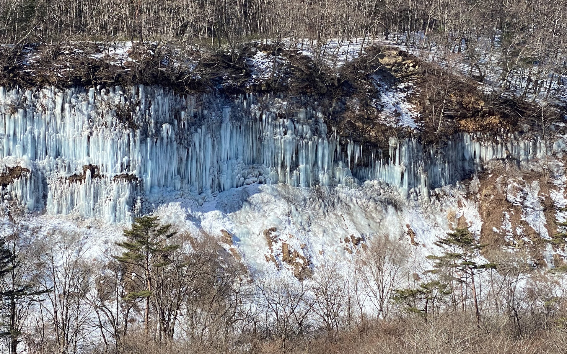 山を登っていく道の途中で、うっかりすると見逃してしまいそうな立て札に気づき、発見した「白川氷柱群」の絶景。写真だとなかなかその美しさが伝えにくいですが、思わずため息が漏れてしまう光景でした。「小坂温泉けやきの湯」付近では、2022年2月下旬頃まで夜間にライトアップされるそうです。駐車場に停めて、徒歩で近くまで見に行く人も多いようですが、防寒・滑り止め対策（スノーブーツ等）をしっかりしてほしいと呼びかけています