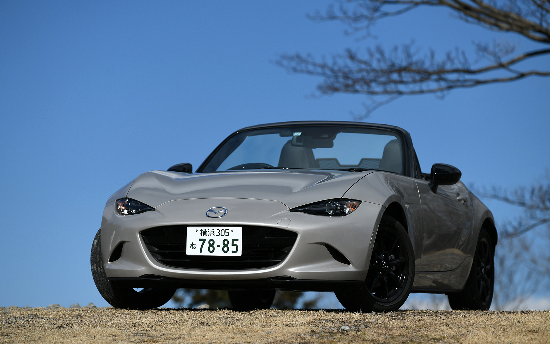 昨年12月の商品改良で追加された新色「プラチナクォーツメタリック」