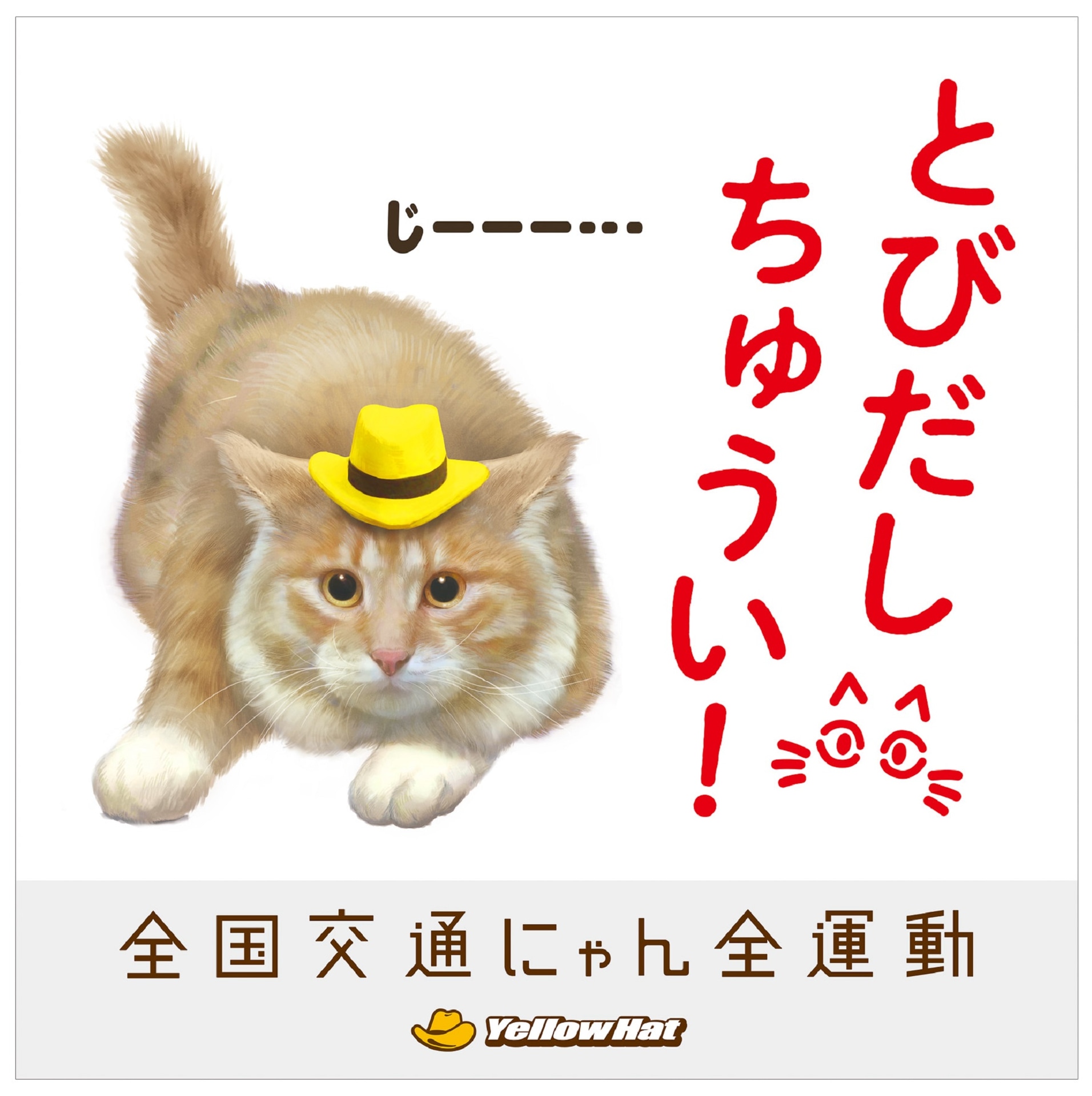 猫飛び出しサインのイメージ