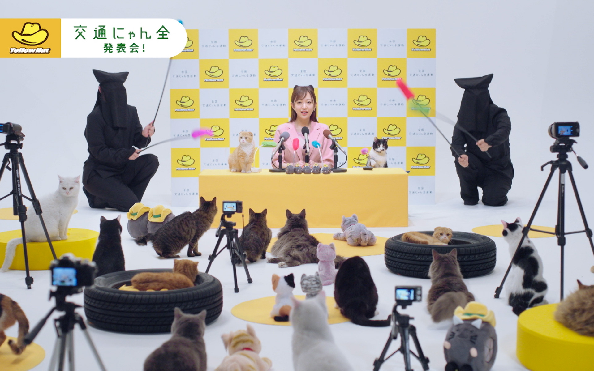 「交通にゃん全発表会」の240秒バージョンが2月22日22時22分頃に公開される