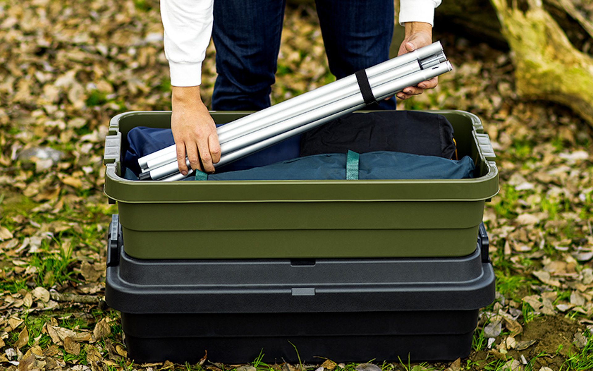 ロータイプは容器が浅く荷物が取り出しやすいのが特徴