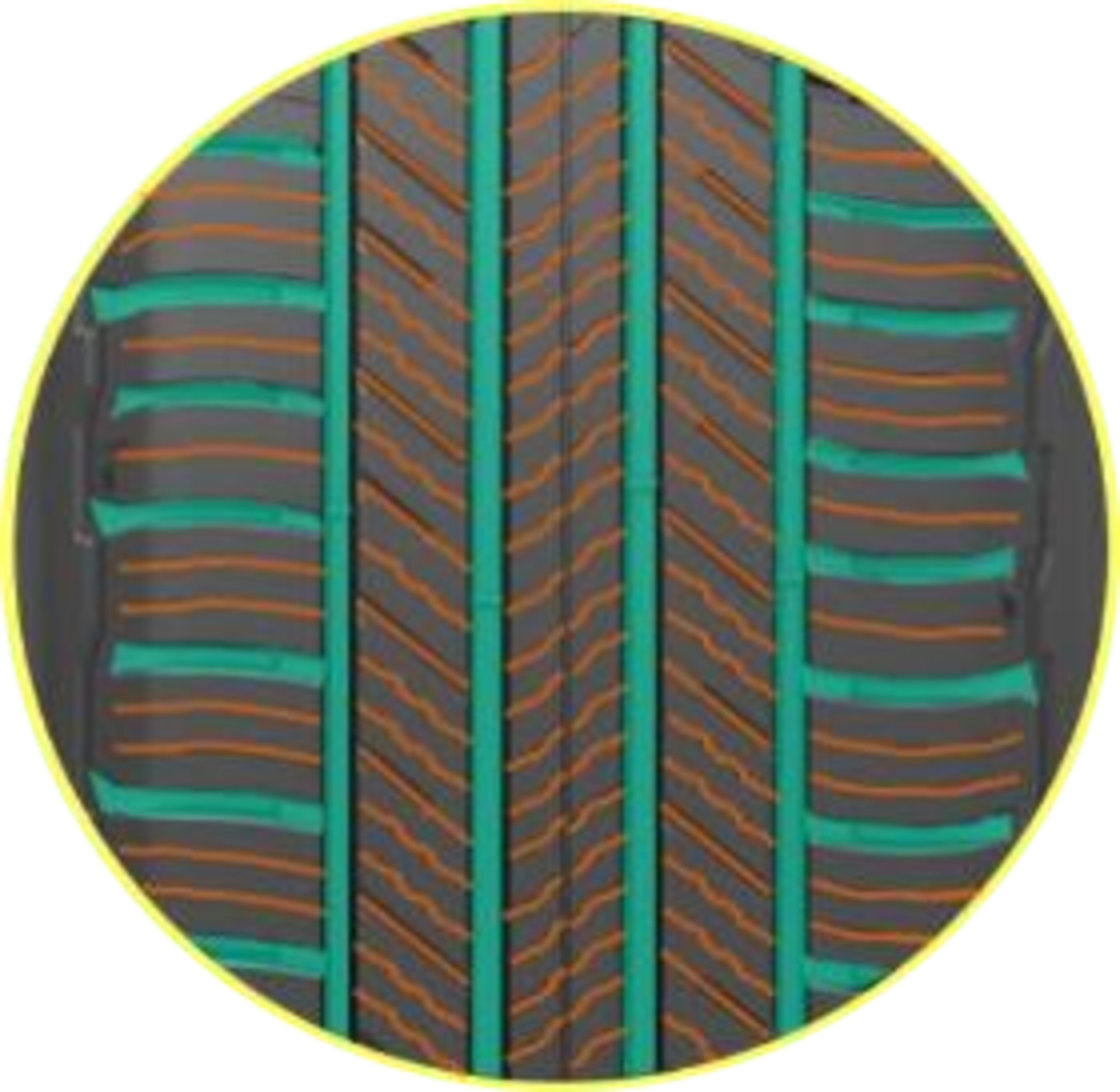 フルデプスサイプのイメージ