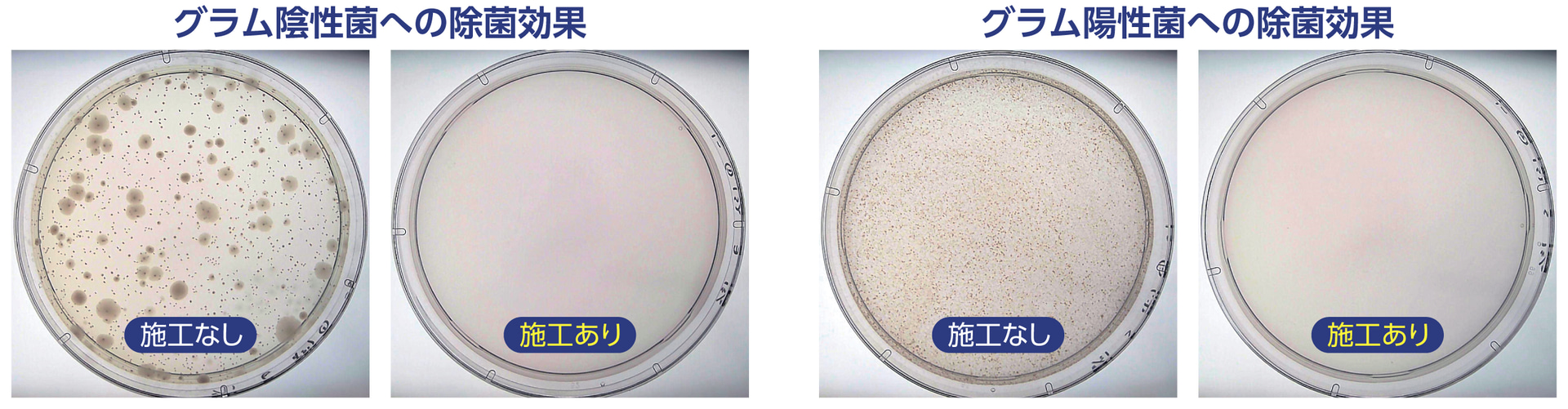 グラム陰性菌への除菌効果（イメージ）