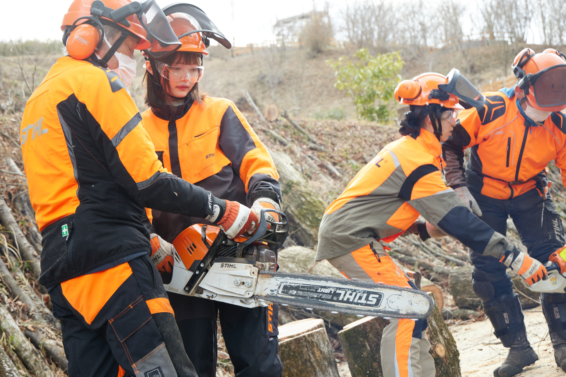 間伐などをおこなう森の再生プログラム