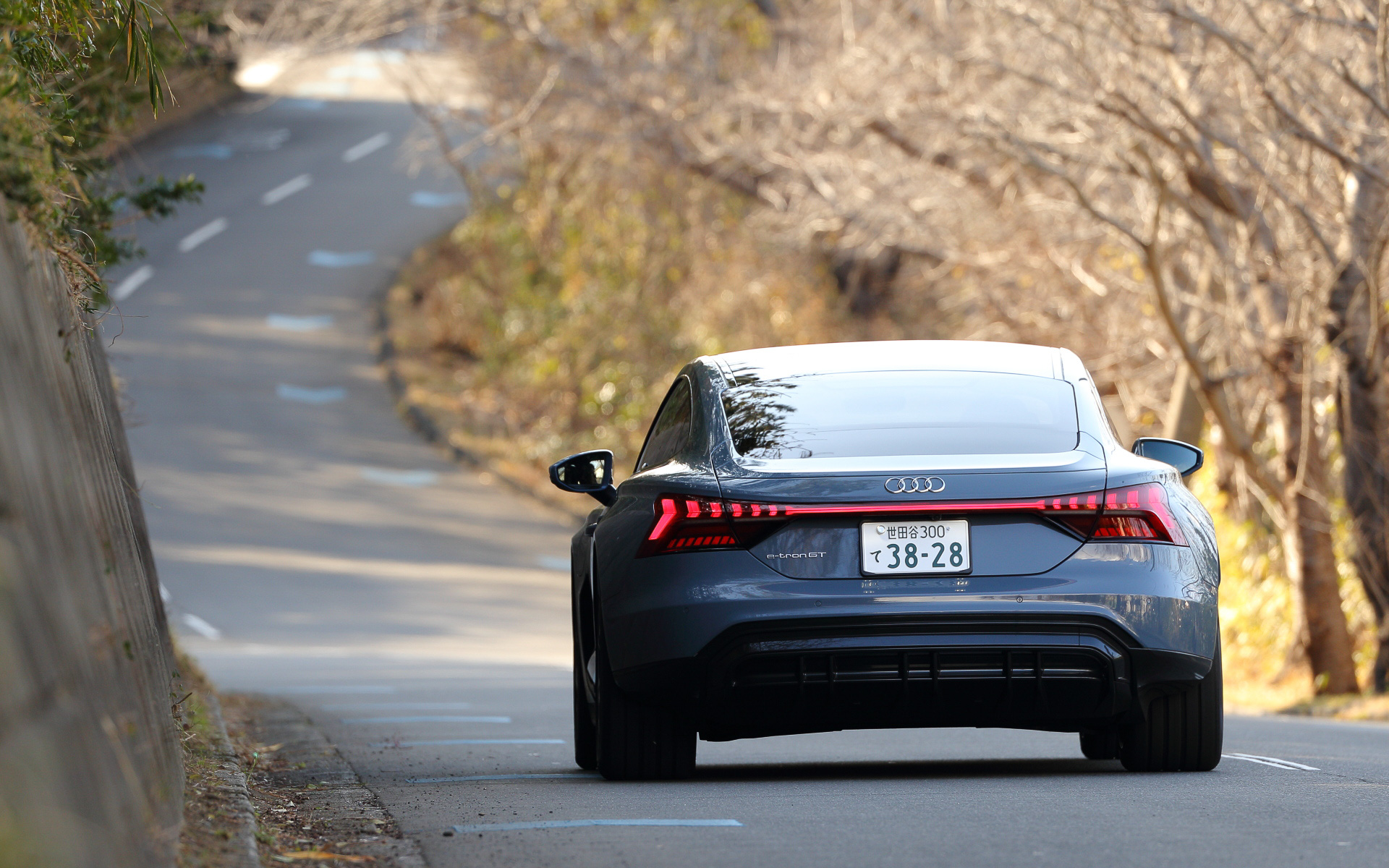 車両前後に配置された2基のモーターがそれぞれ前輪と後輪を駆動する、新世代の電動4WDシステム「エレクトリック クワトロ」を搭載。さまざまな走行状況に応じて予測的に前後のトルク配分を100：0から0：100まで連続的かつ完全可変的に変化させ、あらゆる路面状況で最適な走りを実現。その反応速度は機械式のクワトロシステムの約5倍の速さという