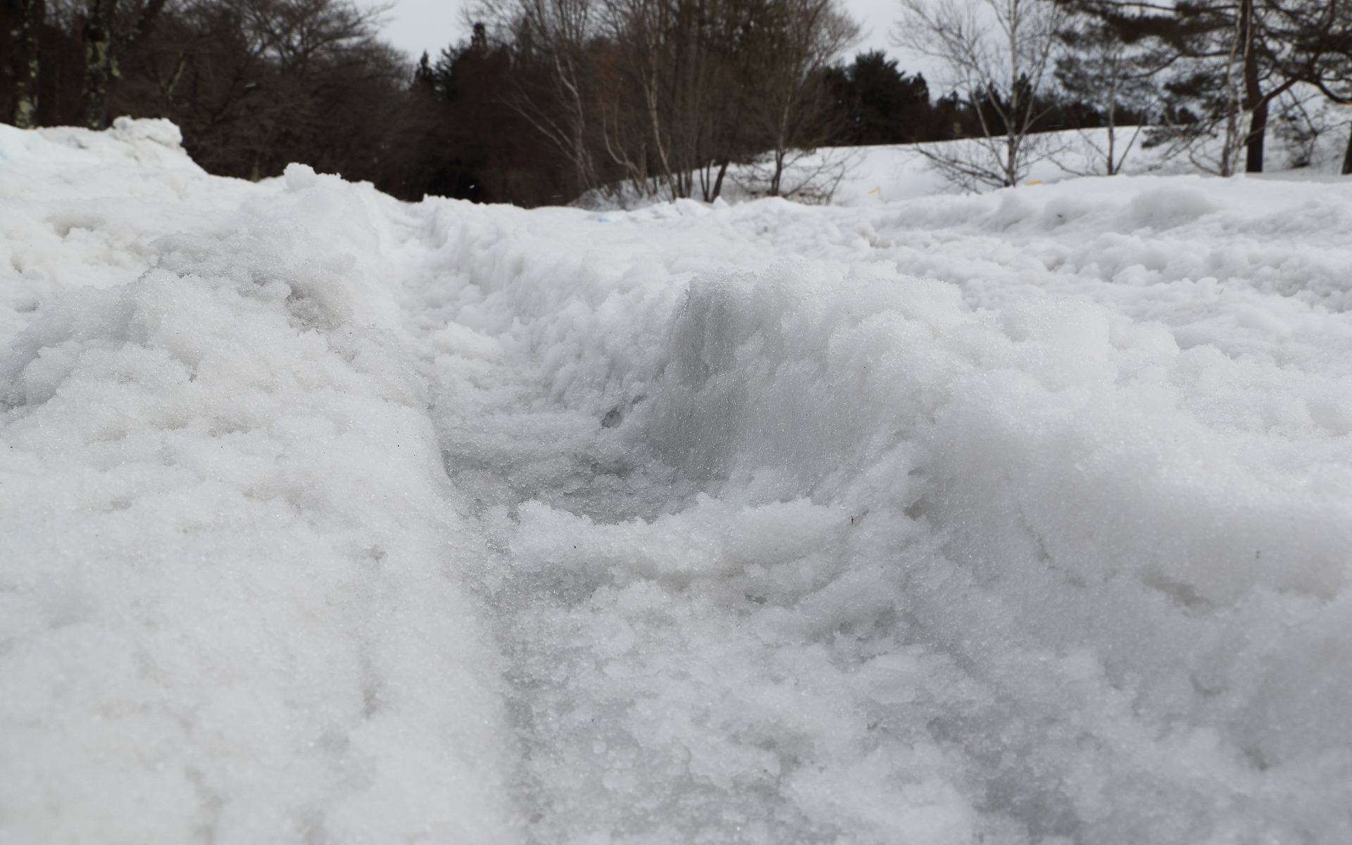 整えられた全面圧雪バーンではなく、深い轍もあれば、いきなりアスファルトが現われて路面のミューが大きく変化する場所など、実際の道路と同じ複雑な条件での試乗となった