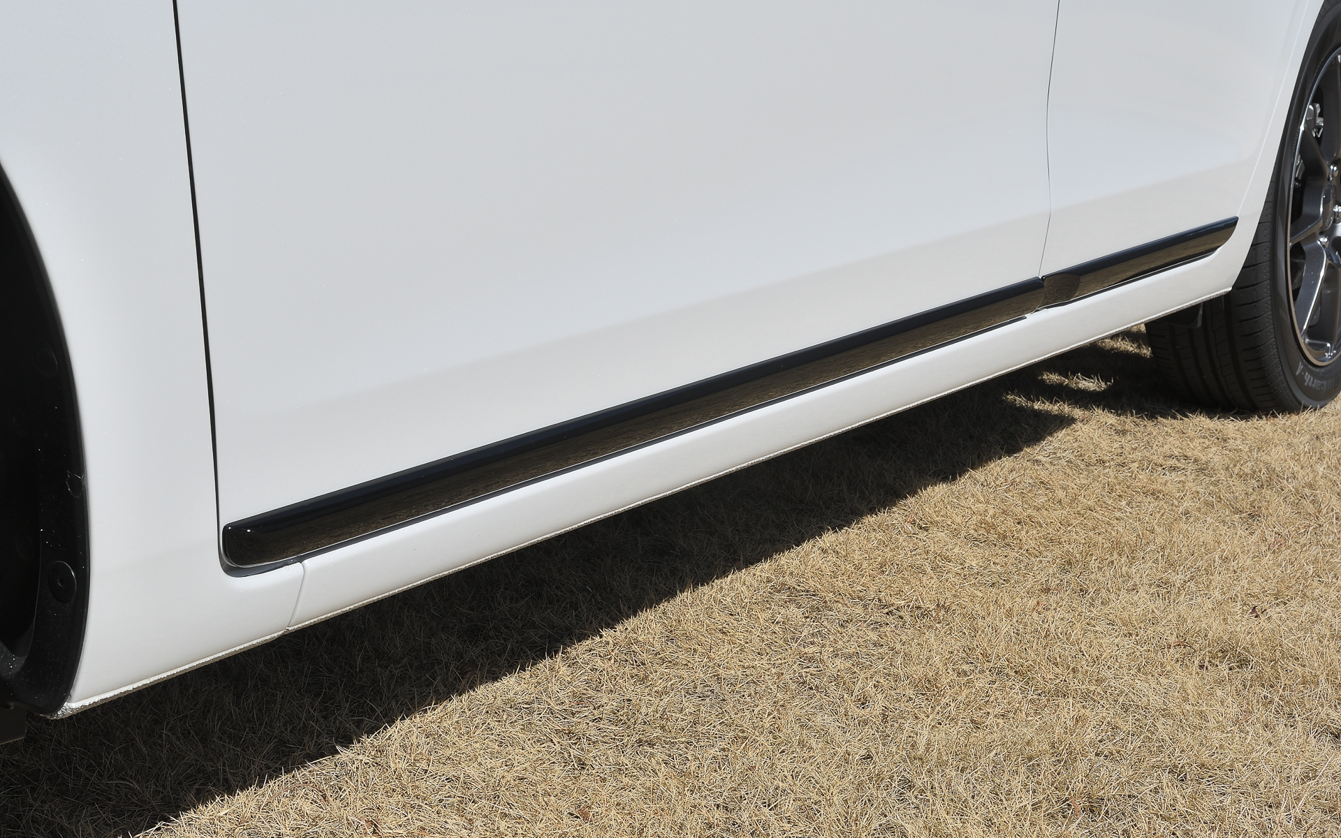 ドアロアーガーニッシュ（ブラック）