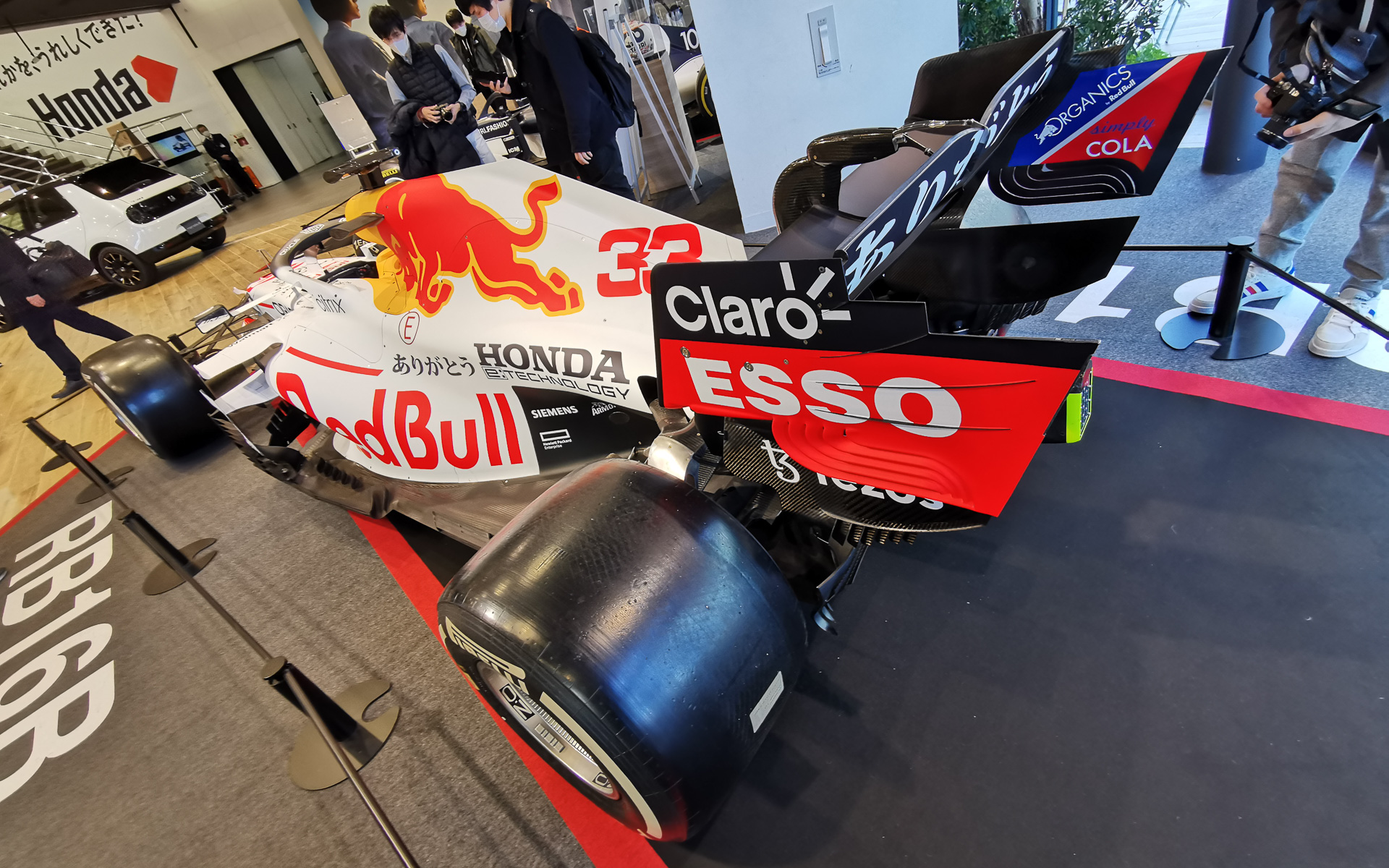 こんなに近くで見られる！