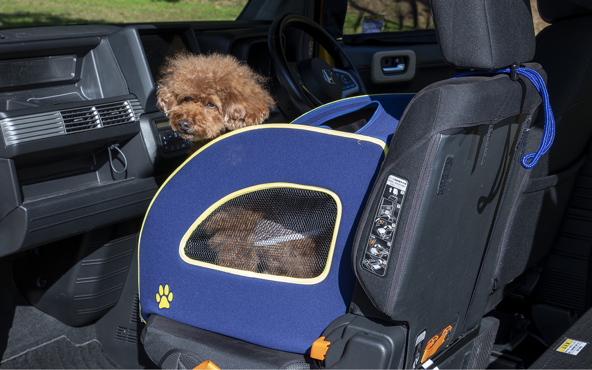 ホンダアクセスは、純正愛犬用アクセサリー「Honda Dog」シリーズをインターペットに出展する