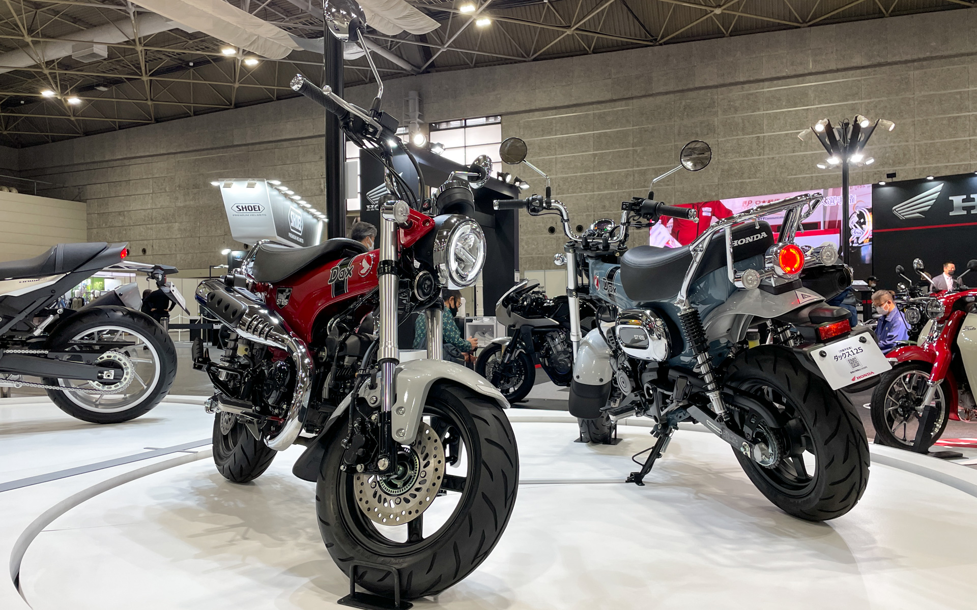 ダックスホンダ ST50 エクスポート