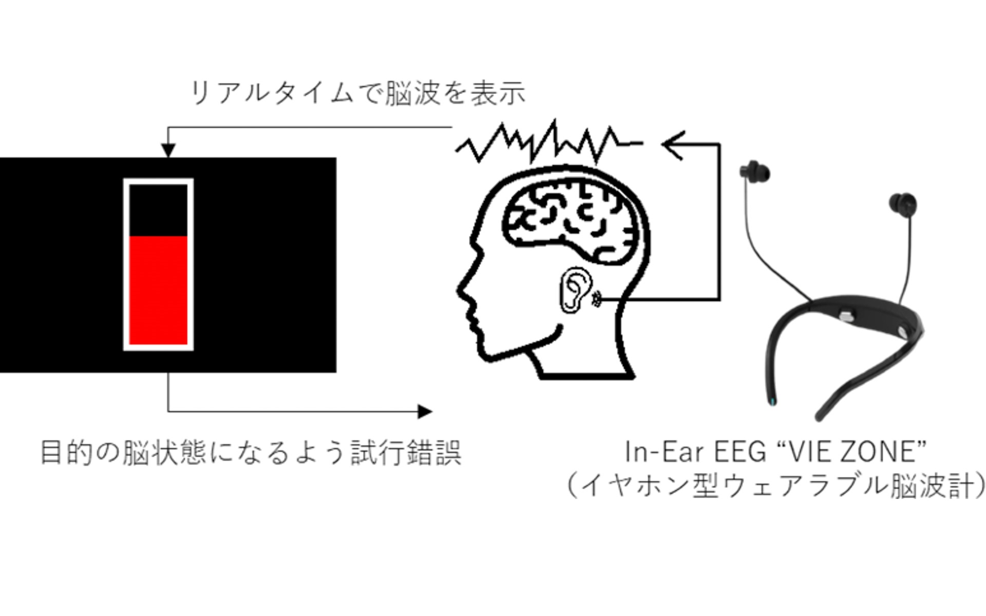 ニューロフィードバックの仕組み