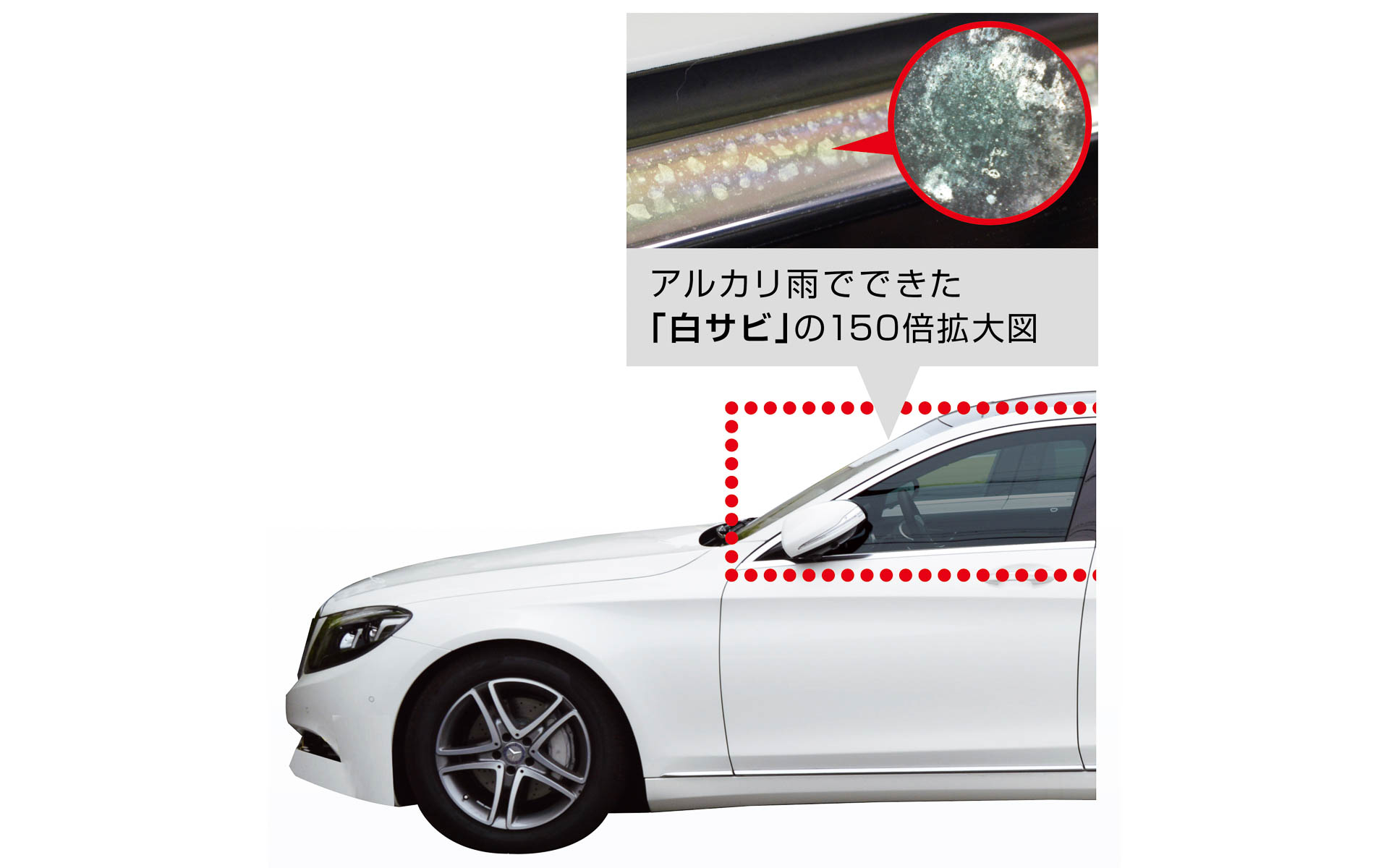 白サビのイメージ