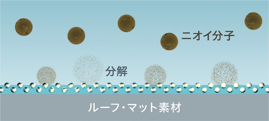 ニオイの原因を元から解消