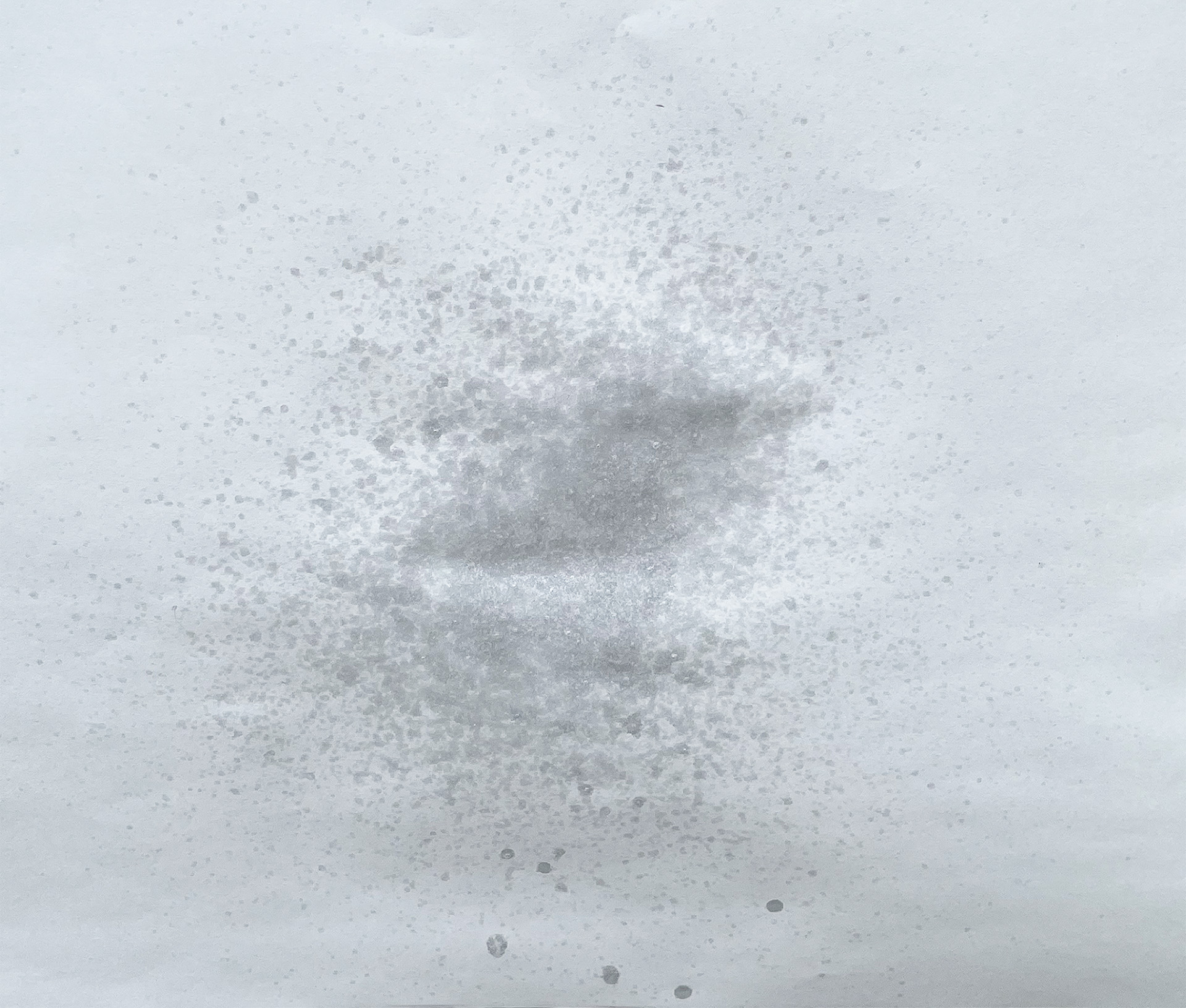 左が従来品のスプレー、右が新しくなった液剤が拡散しやすいスプレーで作業性も大幅に向上した