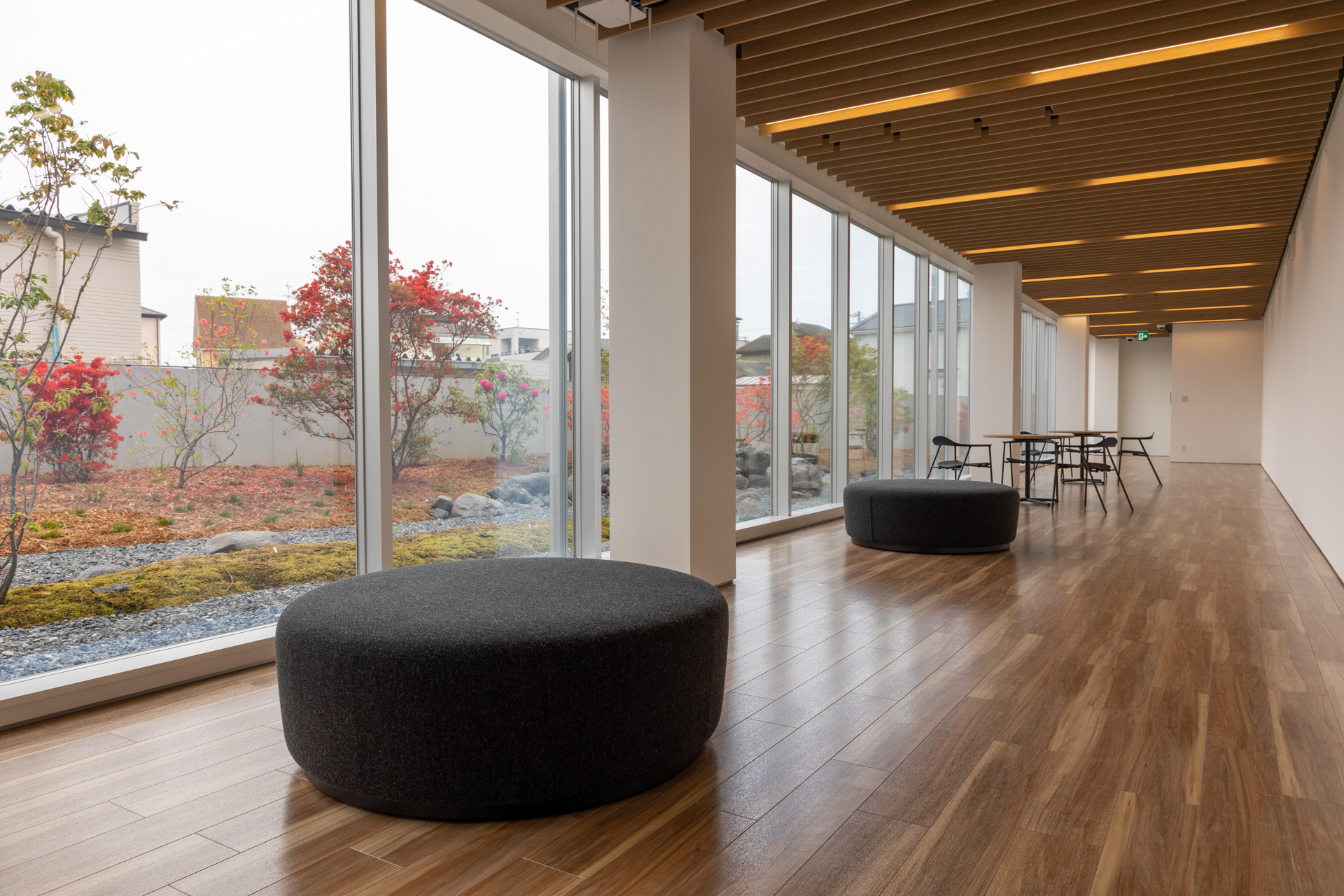 静岡研究所2号棟の内部。ここは庭を見ながらスタッフが休憩できるスペース
