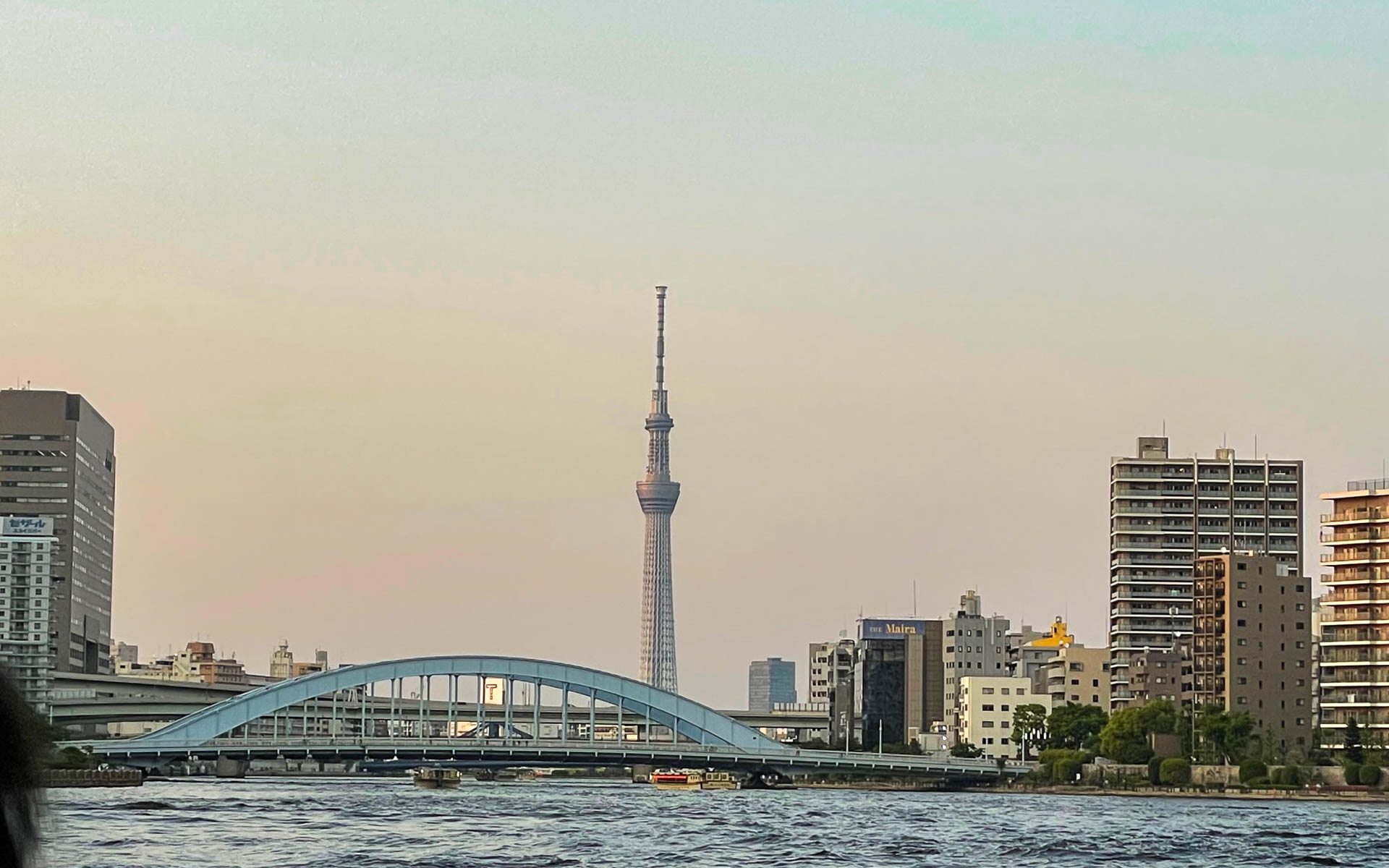 夕暮れに染まっていく東京スカイツリー。よい1日が暮れていきます