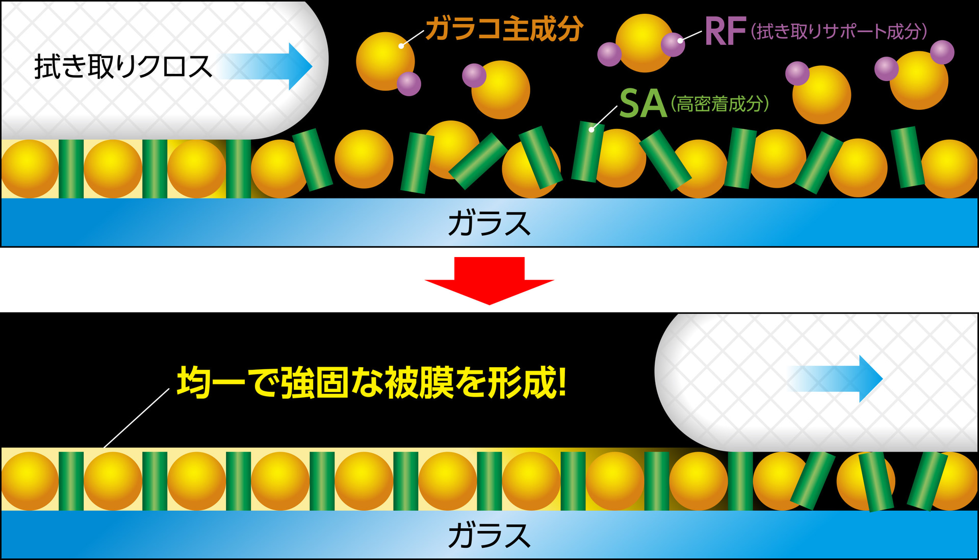 高密着成分「SA」と拭き取りサポート成分「RF」が効果的に働き、撥水効果と作業性を高める