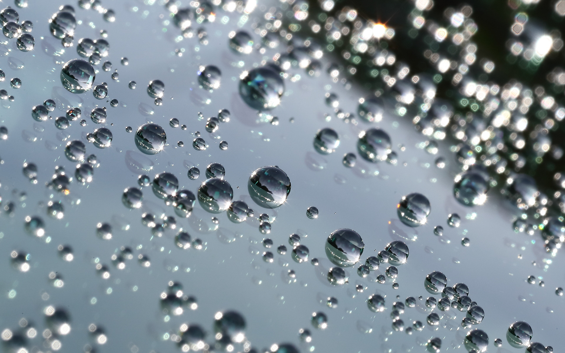 ガラスに近づいて見てみると、半球状になった水玉が自重で滑り落ちていくのが分かる