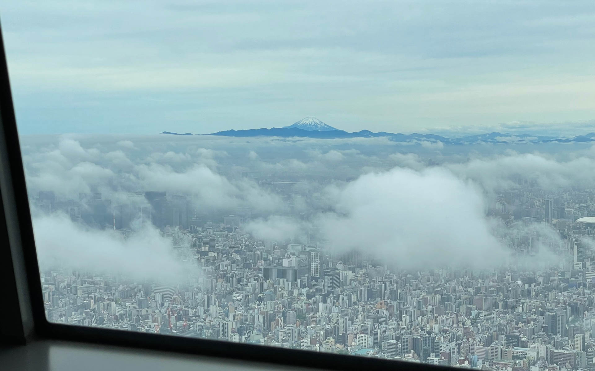 雲の上から富士山が顔を見せてくれました。テンション上がります