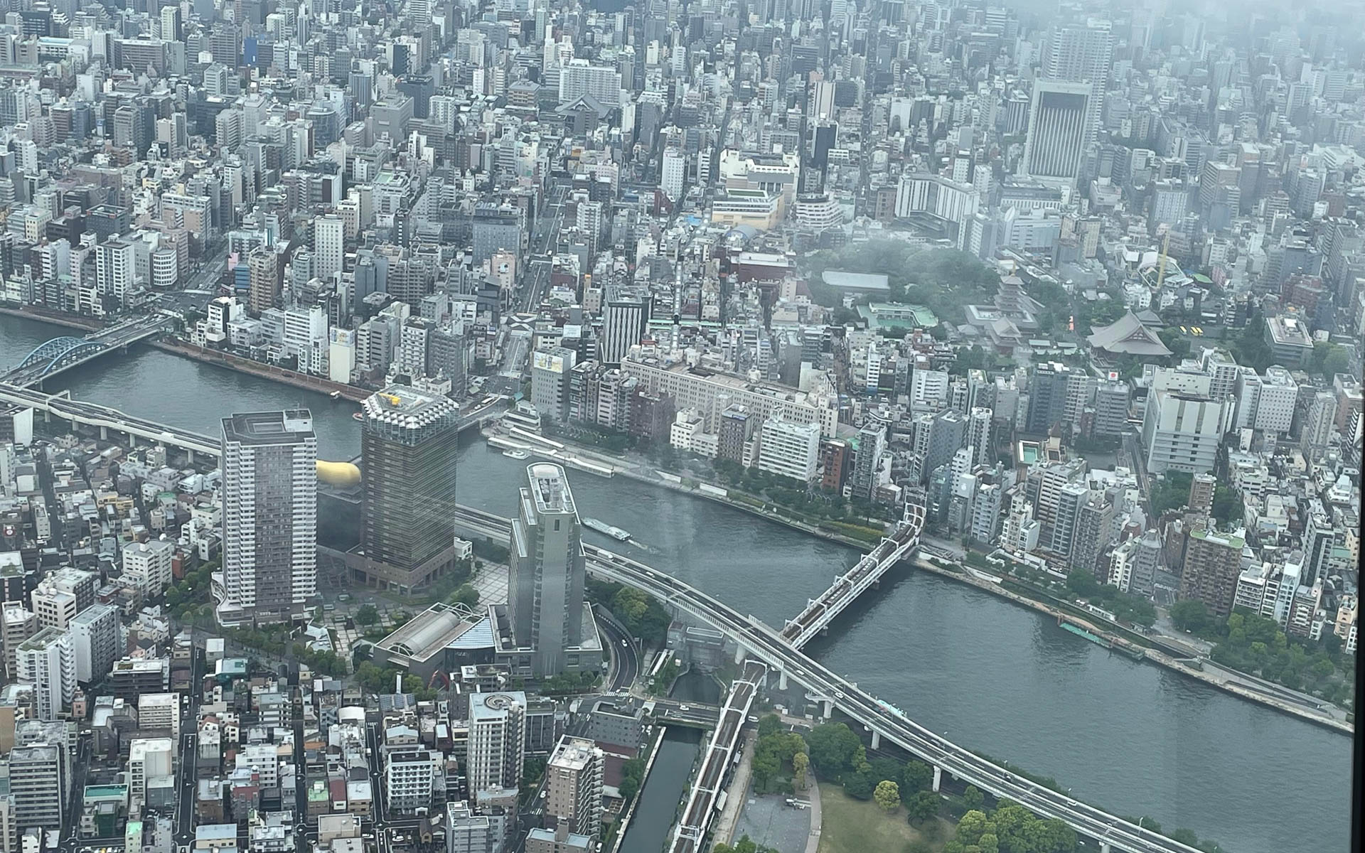 墨田川を挟んで手前のビルの谷間からアサヒビールの筋斗雲が、そして川向こうには緑に包まれた浅草寺がありました