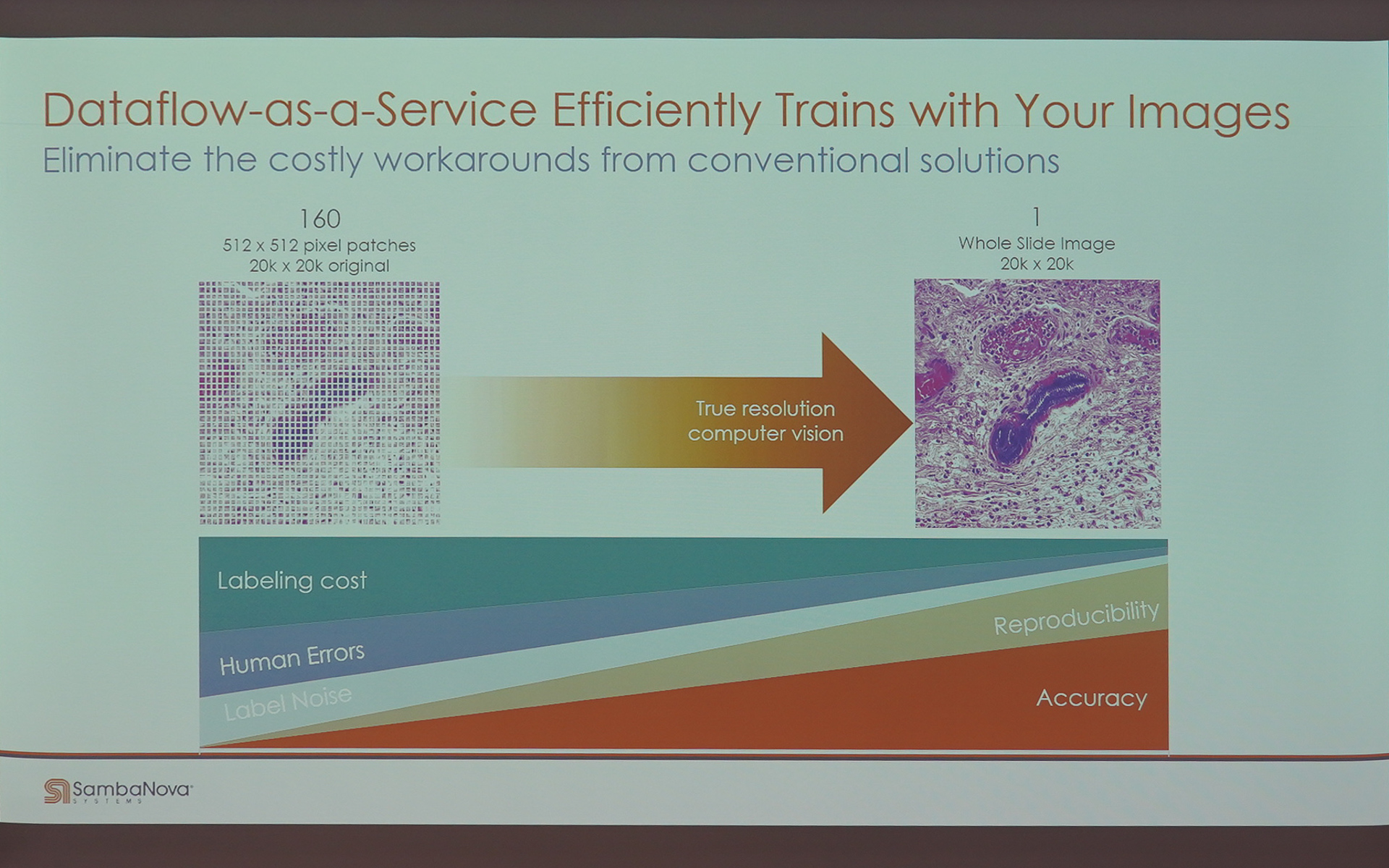 グローレ氏のそのほかのスライド