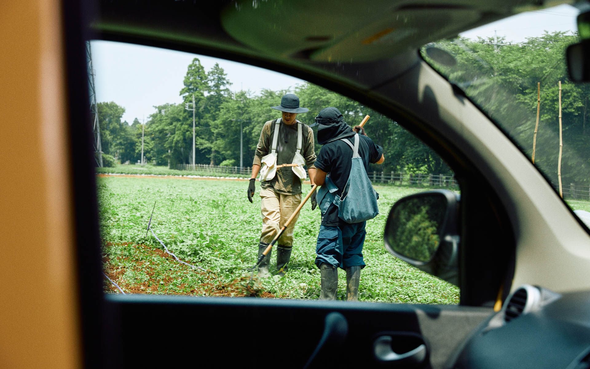 代官山青果店の協力で苗が植えられ、順調に育っている