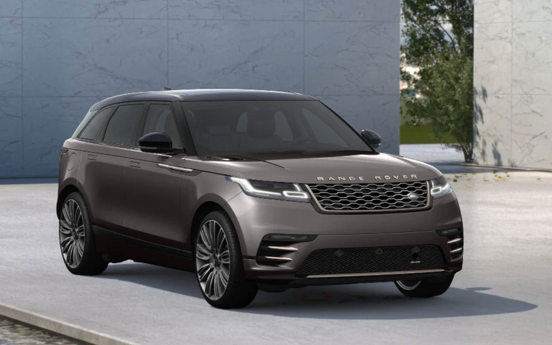 シャラントグレイ