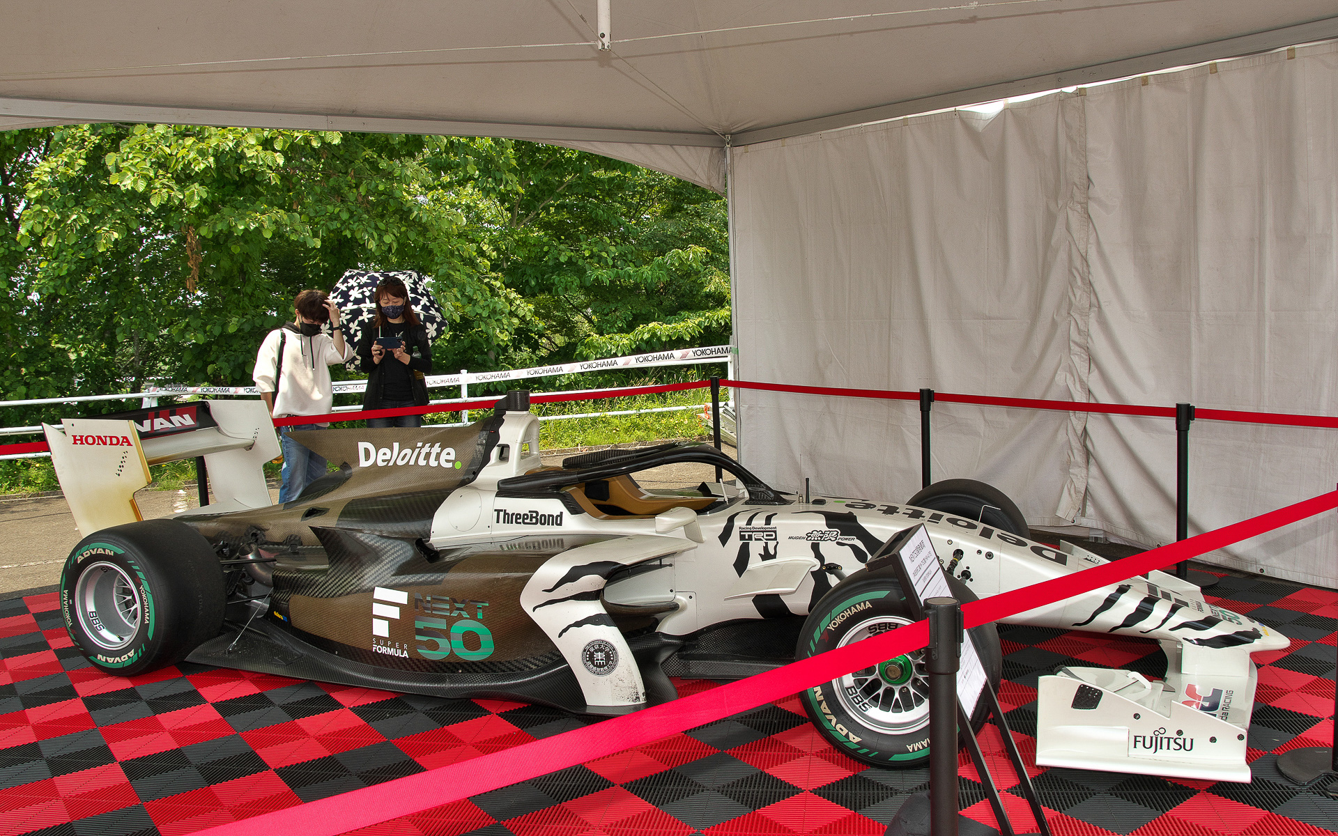 こちらはシロトラ。外観はアカトラとさほど変わらないように見える