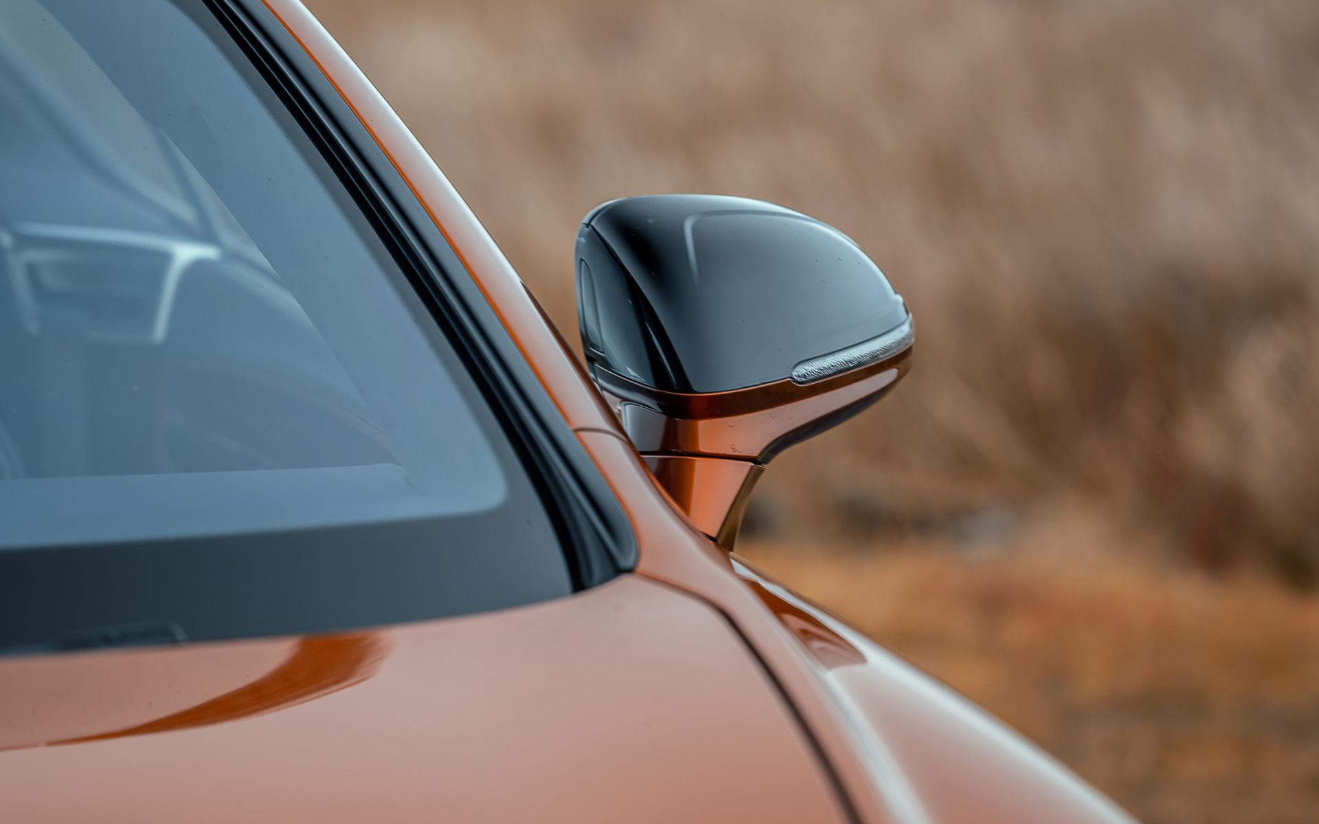 サテンシルバーまたはブラックのミラーキャップを装備