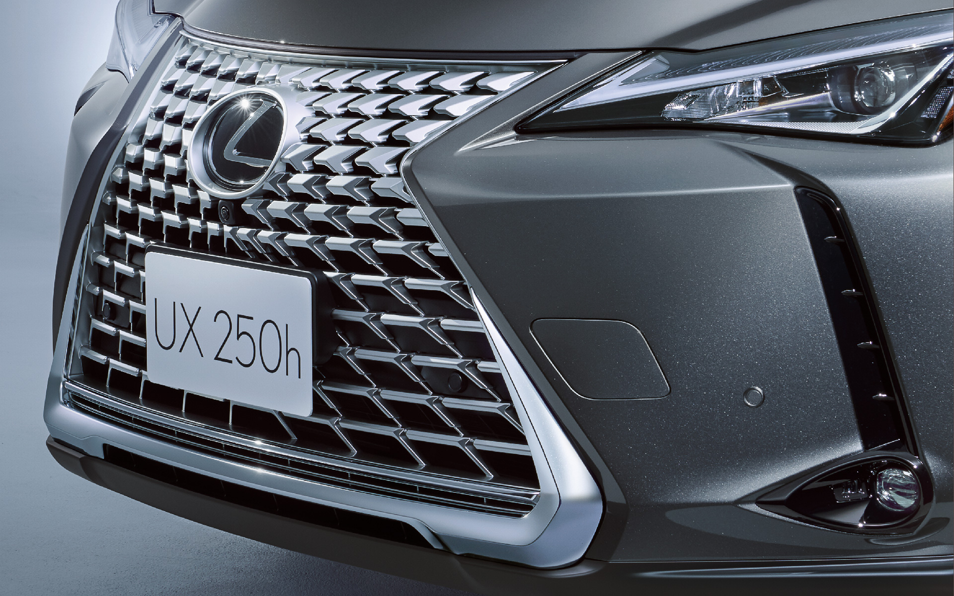 特別仕様車専用シルバー塗装のスピンドルグリル