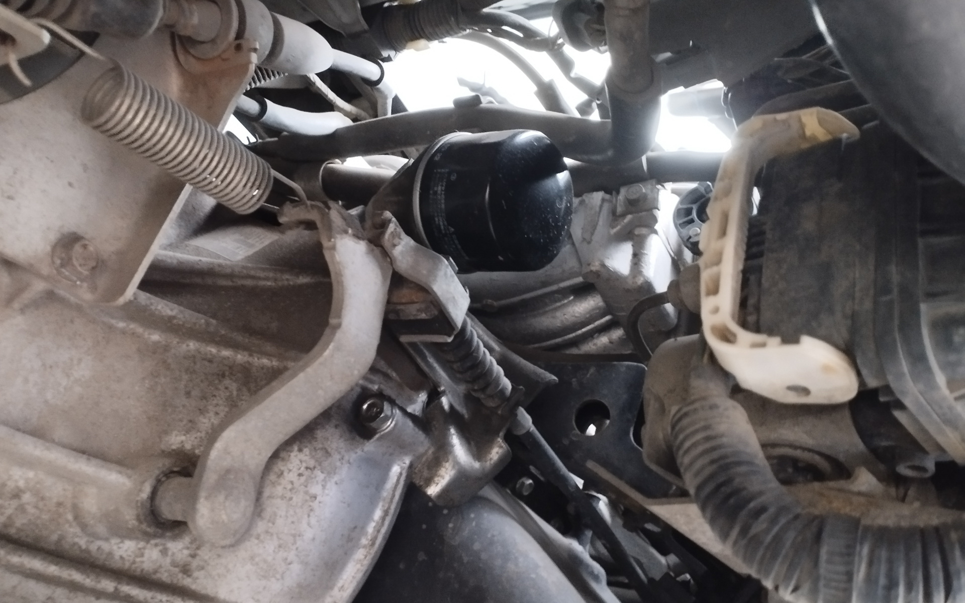 オイルフィルターも交換。上からも見えるが、配管類がじゃまなので脱着は下から