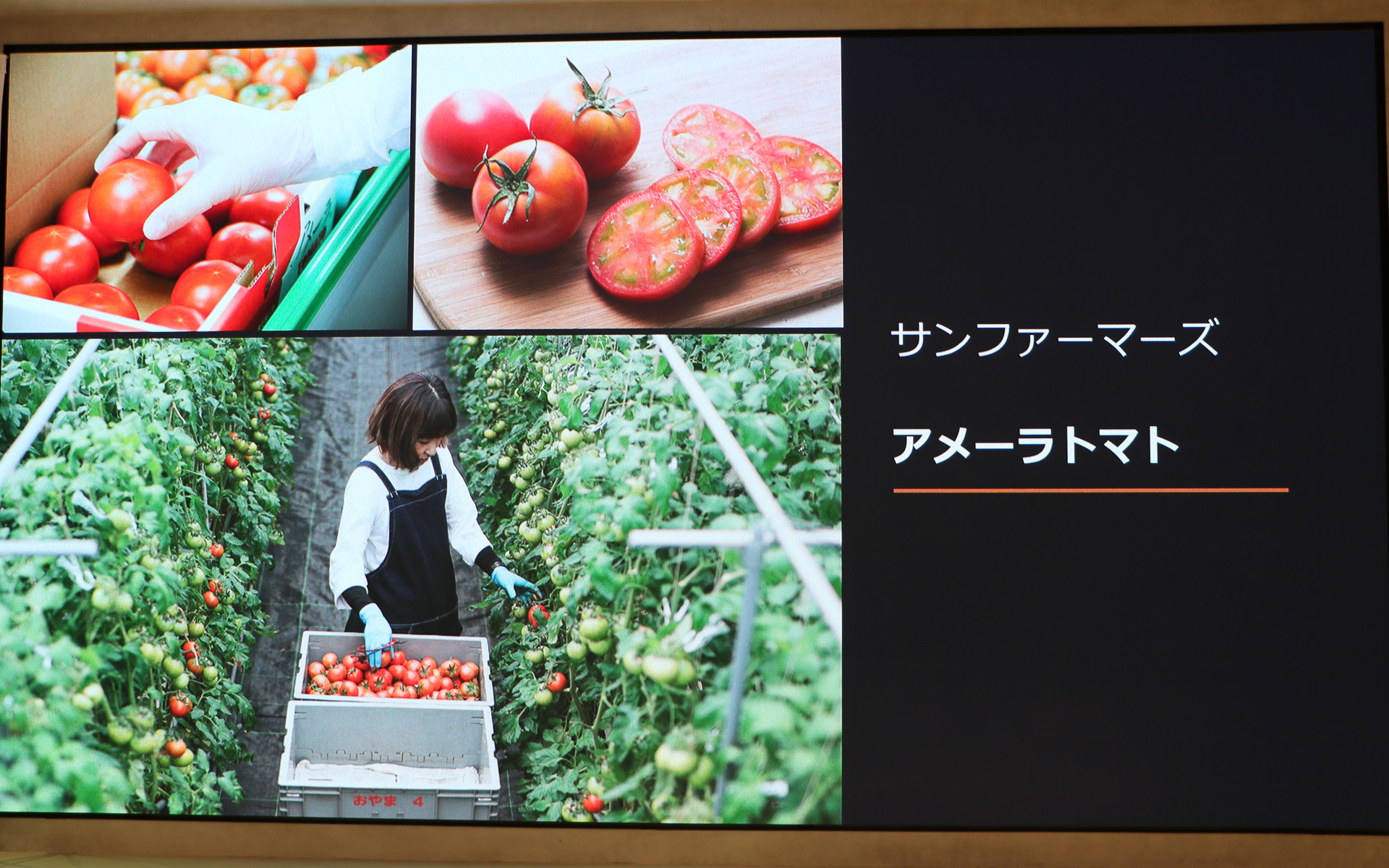 石井シェフはこの日、富士スピードウェイホテルで実際に使用する食材の一部、トマトとチーズとオリーブオイルを使った前菜「カプレーゼ」を参考に用意していた