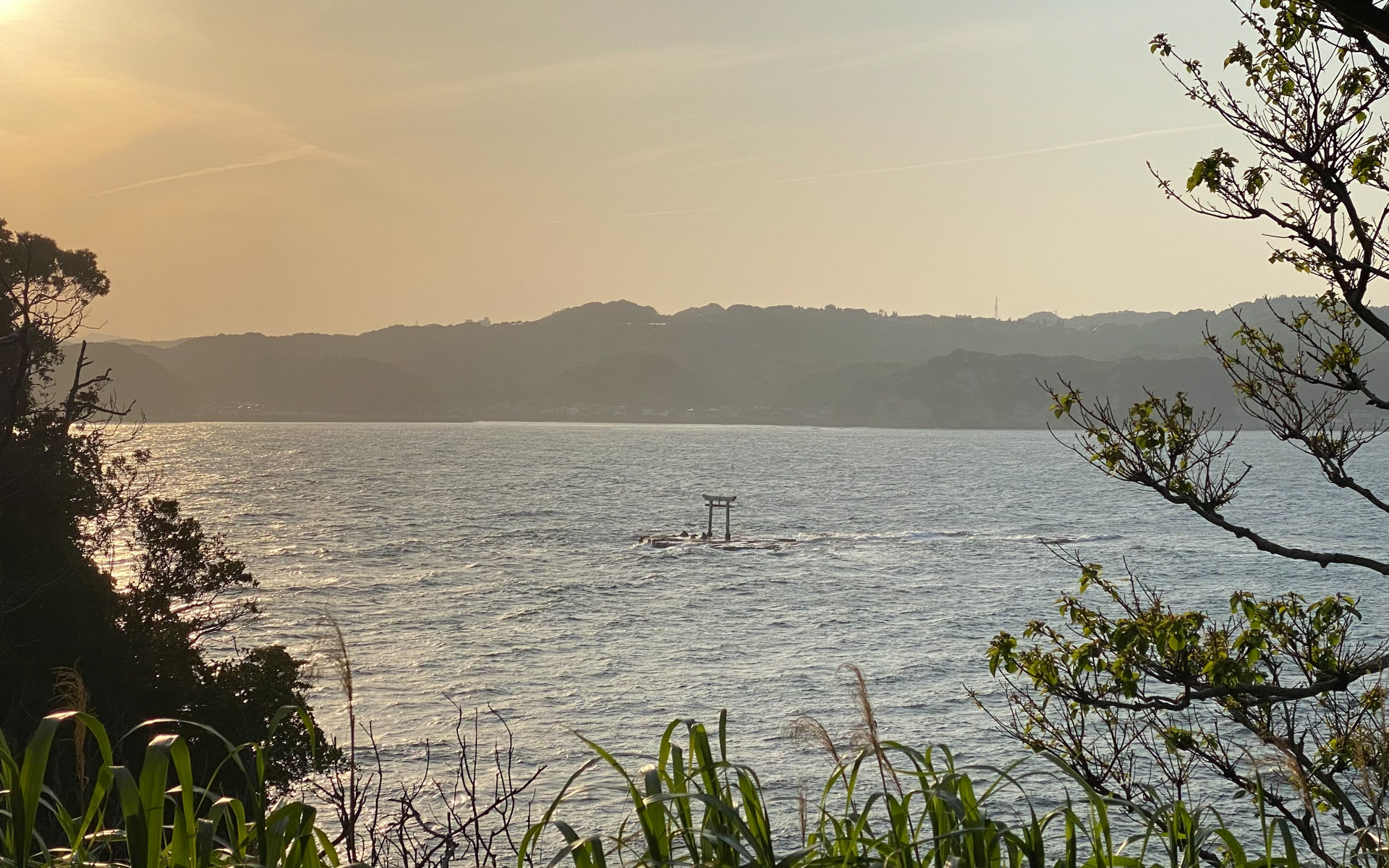 駐車場から眺める勝浦湾も、とてもきれいです。ちょうど日の入りが近づいており、夕陽が美しい光景にうっとりしました。海の中に白い鳥居が見えるのがまた、旅情を掻き立てますね。ドライブやツーリングの休憩場所としてもおすすめです