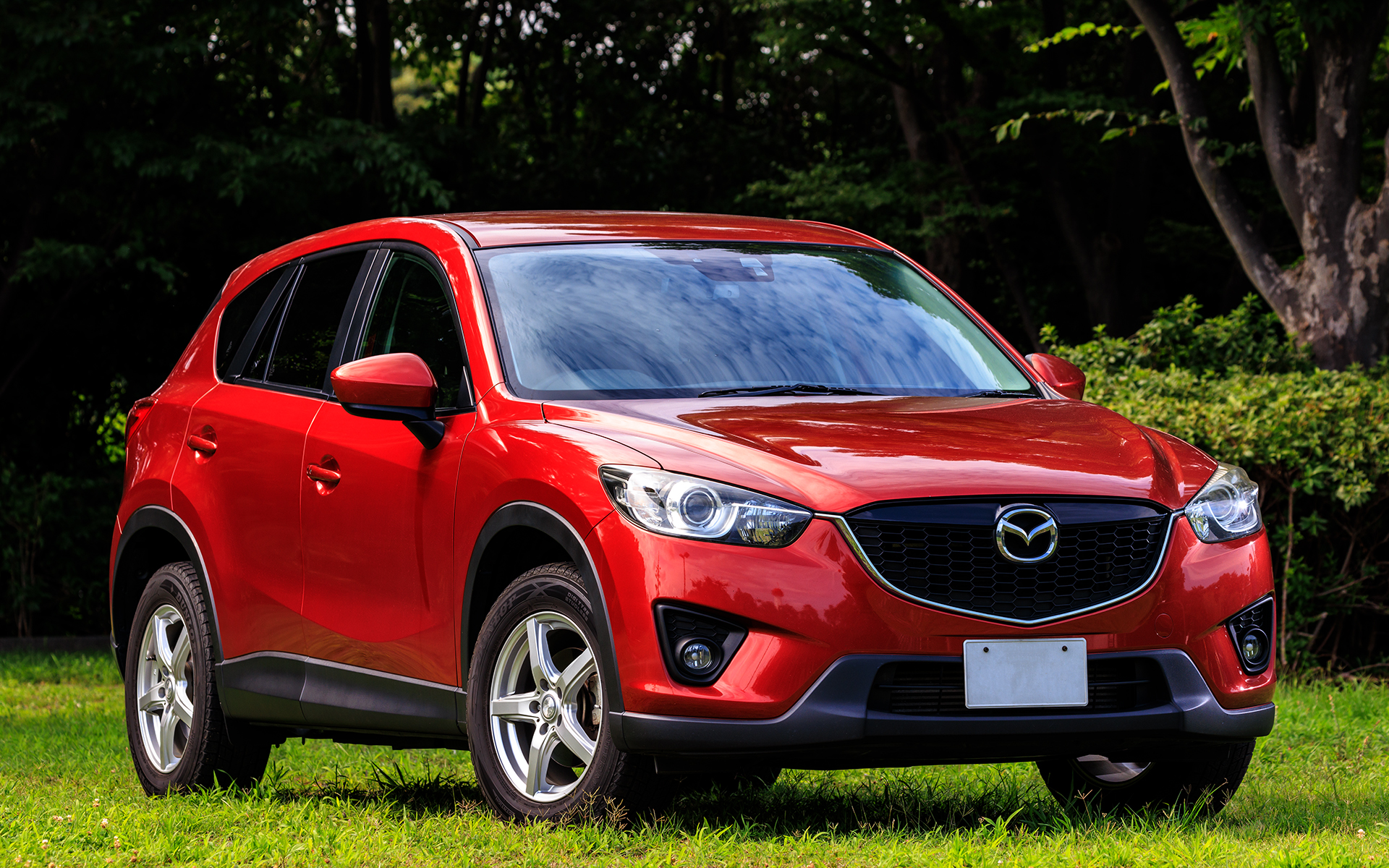 施工1週間後。その間、1度雨が降ったものの何もしていない状態。ピカピカです