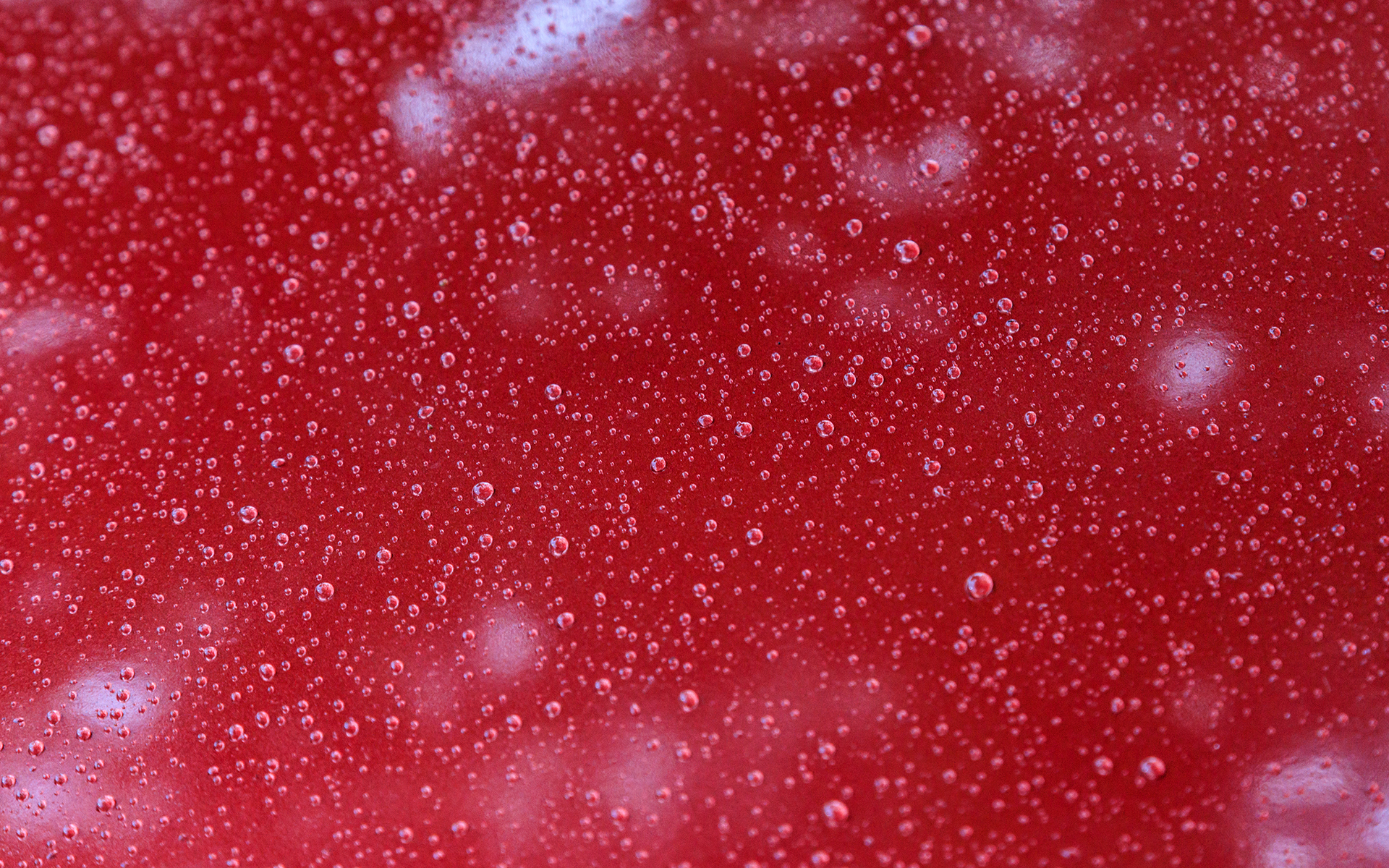 前の写真を撮ったあと、にわか雨が降ってきた。素晴らしい撥水力だ