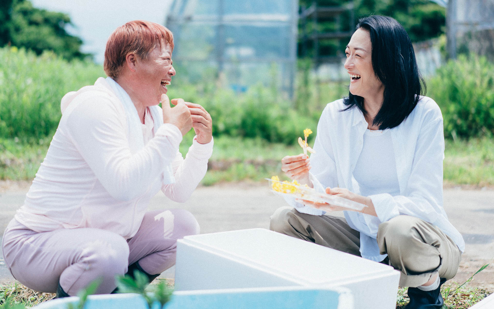 Webムービーの一場面