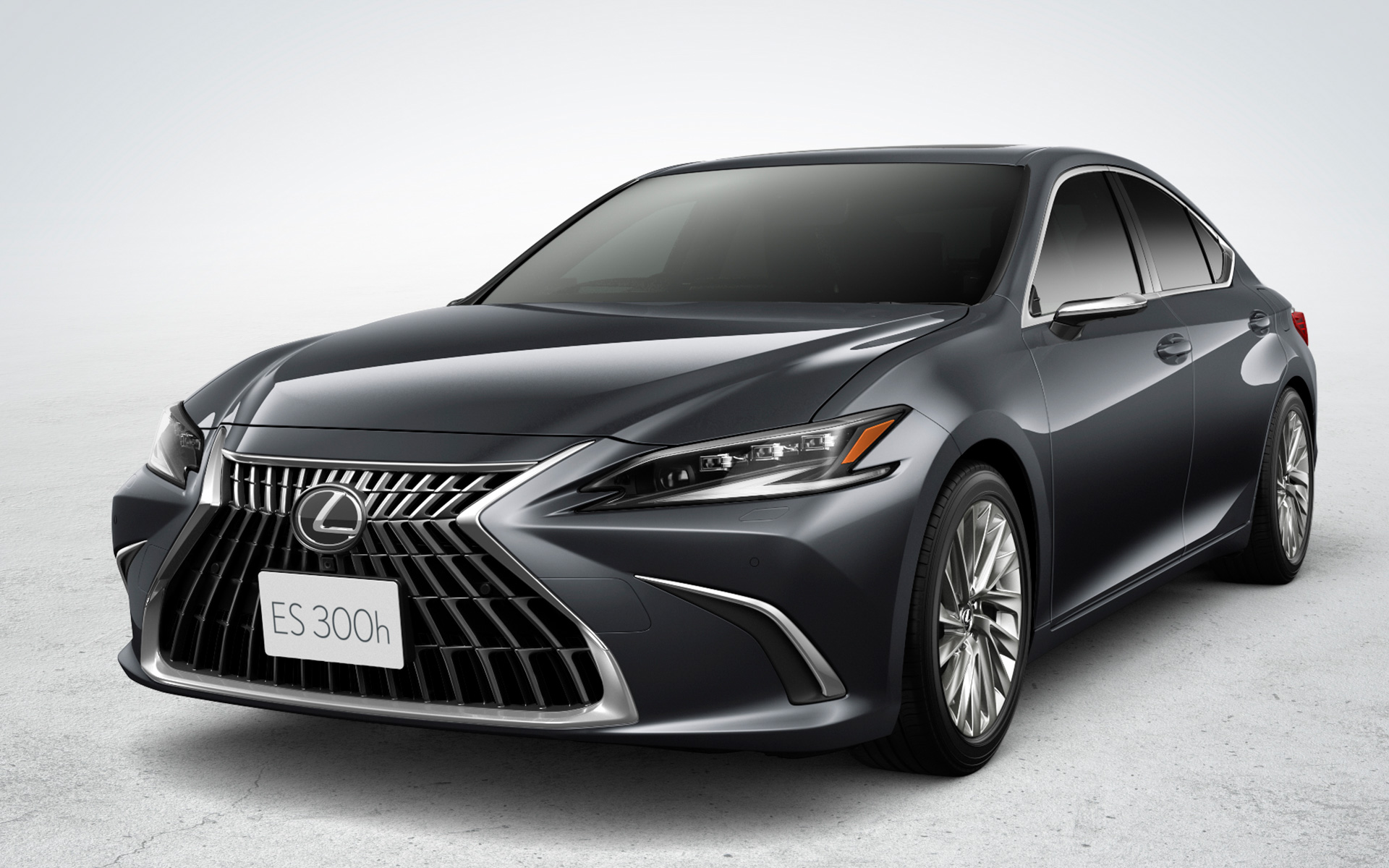 ES300h“version L”