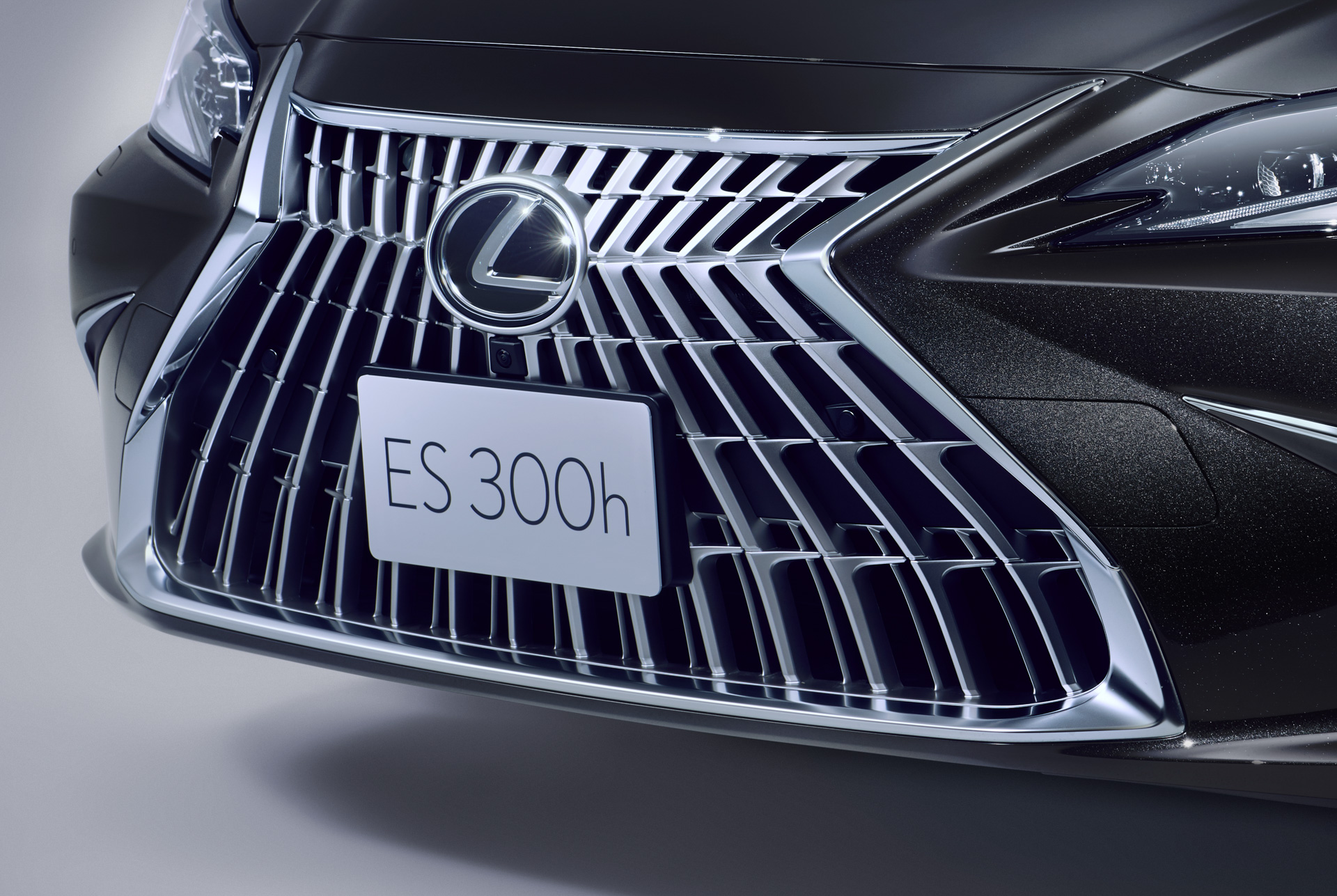 ES300h 特別仕様車“Graceful Escort”