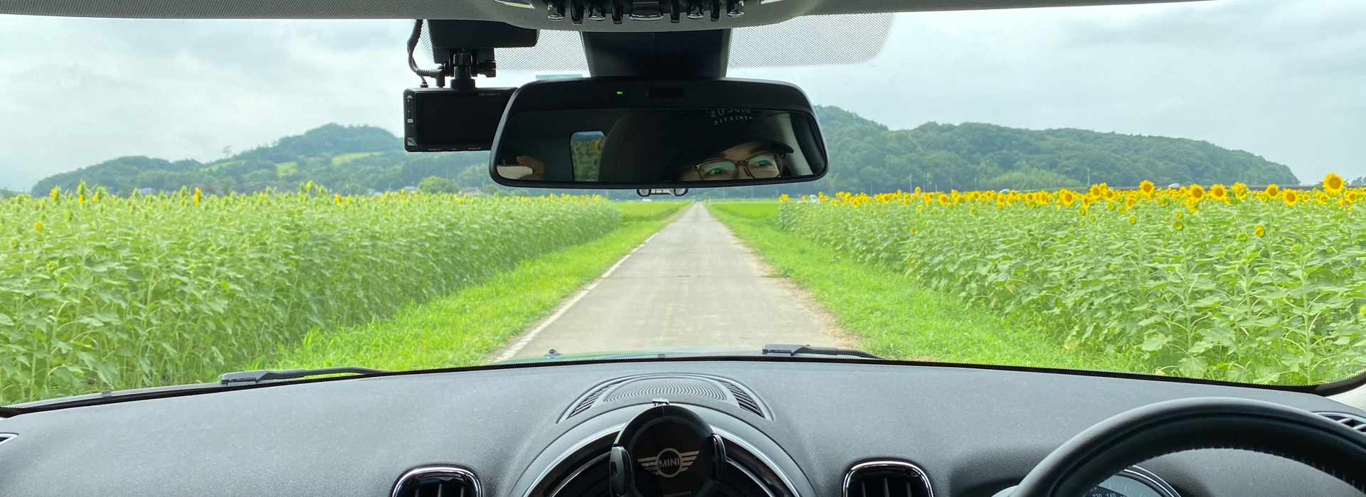 左右にひまわり畑が広がる道を、ドライブできる夏だけの楽しみ。ここは、駐車場から出たあとの順路なんです。後席から撮影してもらいました。会場内にはお手洗いがありますが、晴れた日はとても暑いので、各自冷たい飲み物や日傘、帽子など熱中症対策をしっかり準備してくださいね