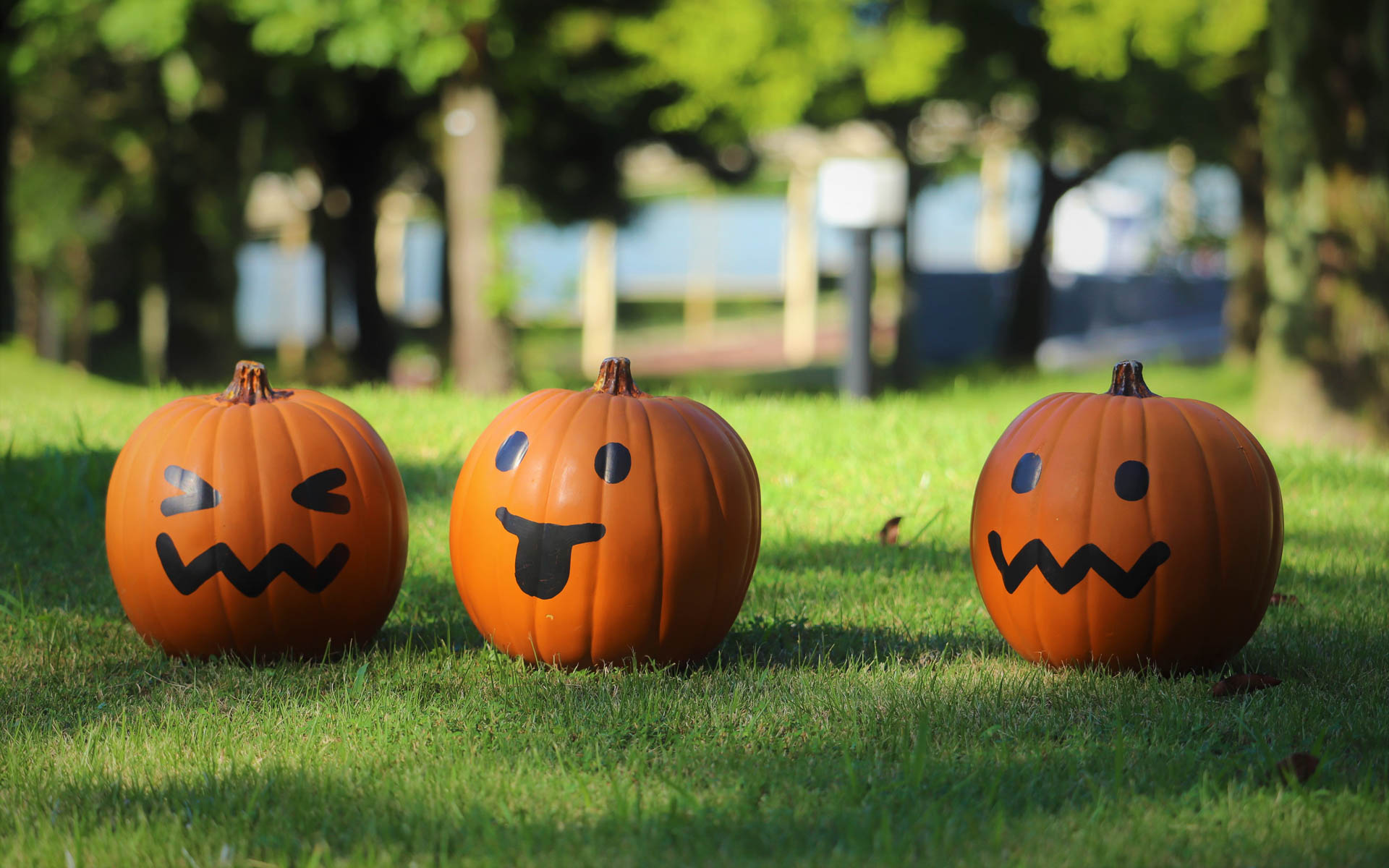 ミッション 迷子のかぼちゃを探せ！　のイメージ