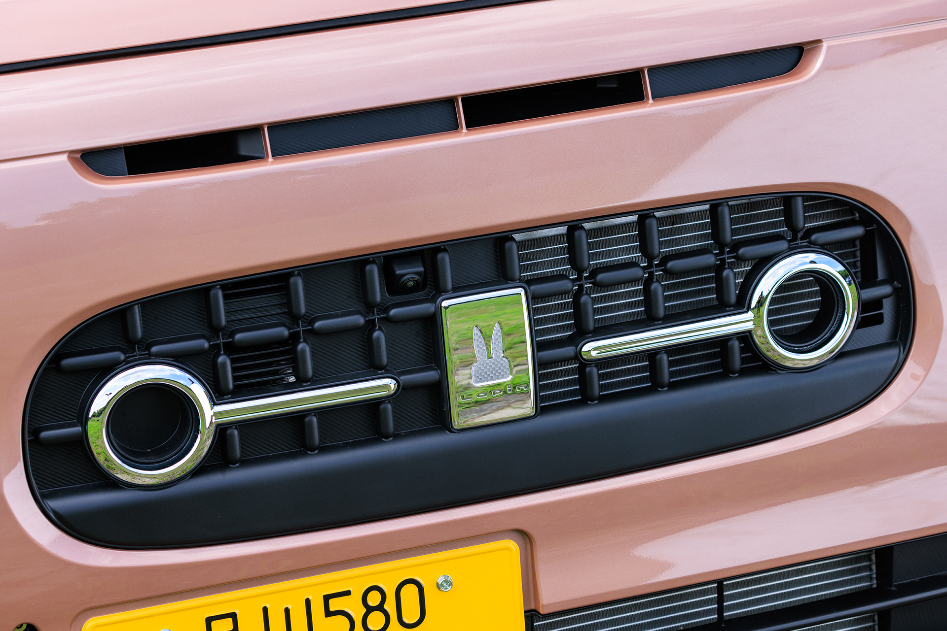 LCらしさを表現するメッキガーニッシュ