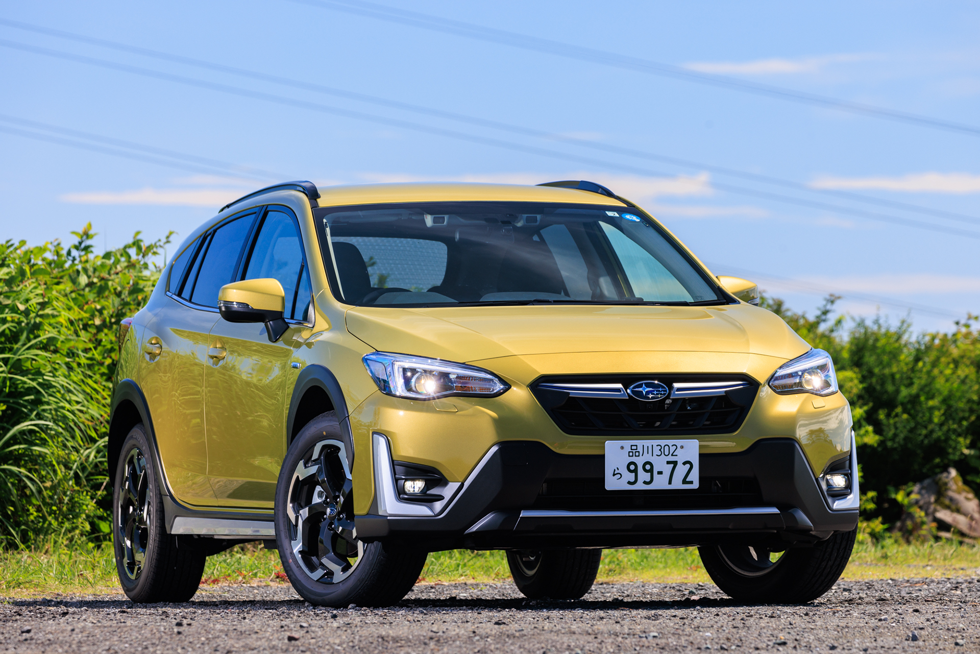 Lightroomによる中間仕上げ