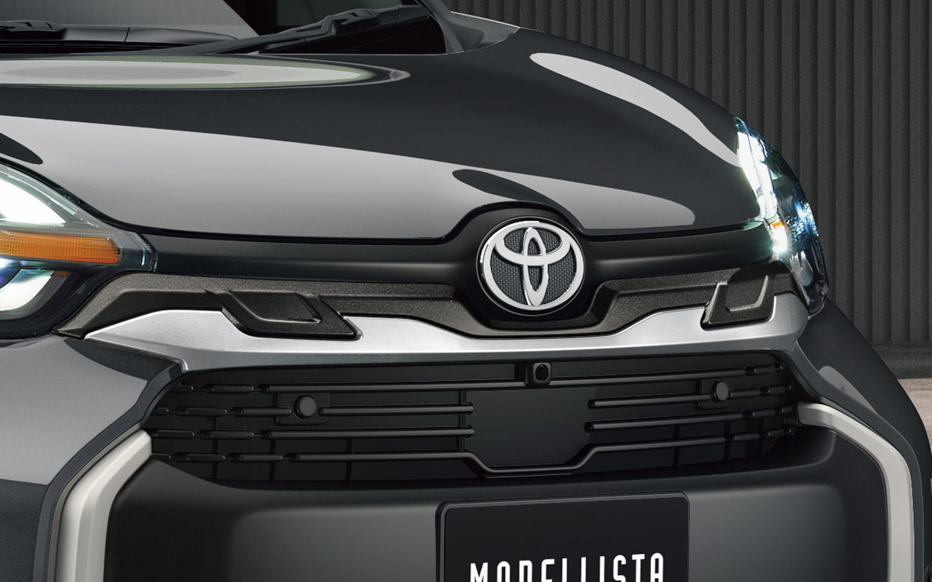 フロントグリルカバー（4万9500円）