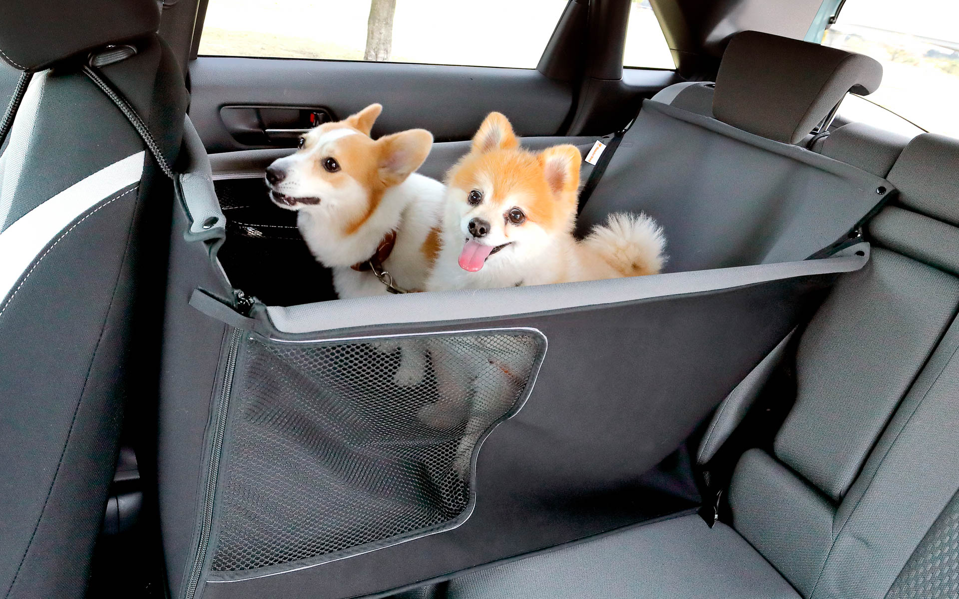 25kg以下の中型犬が乗れる「ペットシートサークル」の使用イメージ