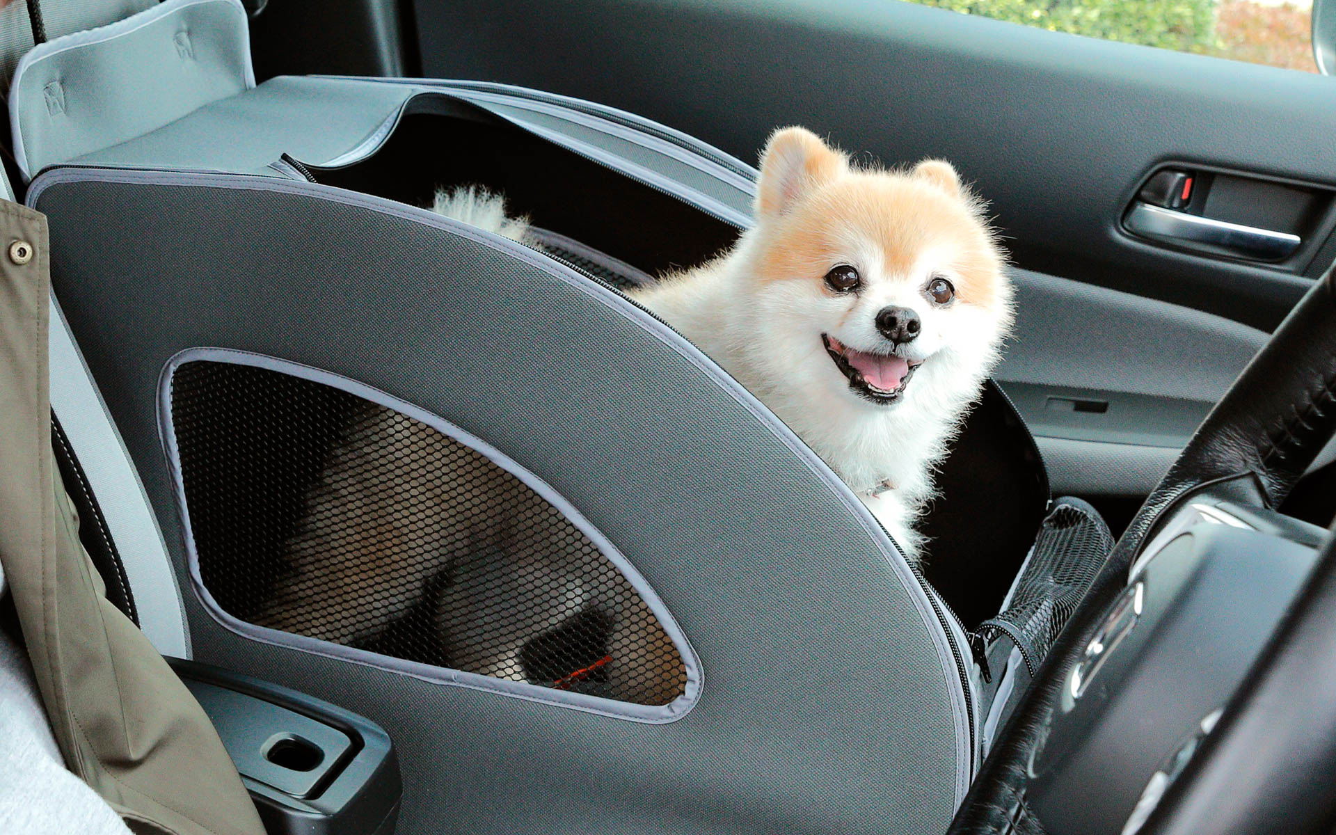 助手席に取り付けられる「ペットシートプラスわん2」